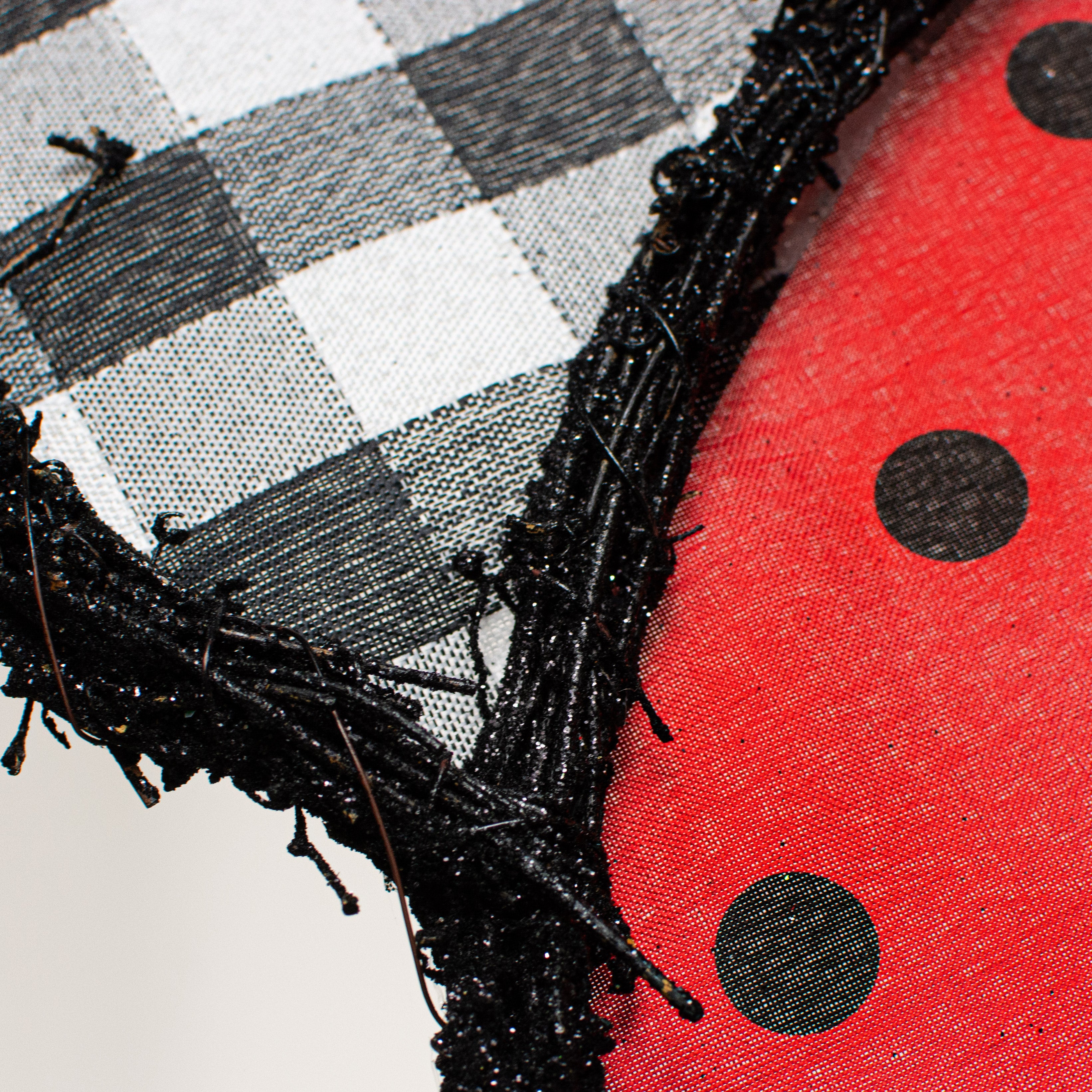 21" Grapevine Hanger: Check & Dots Ladybug detail photo 3