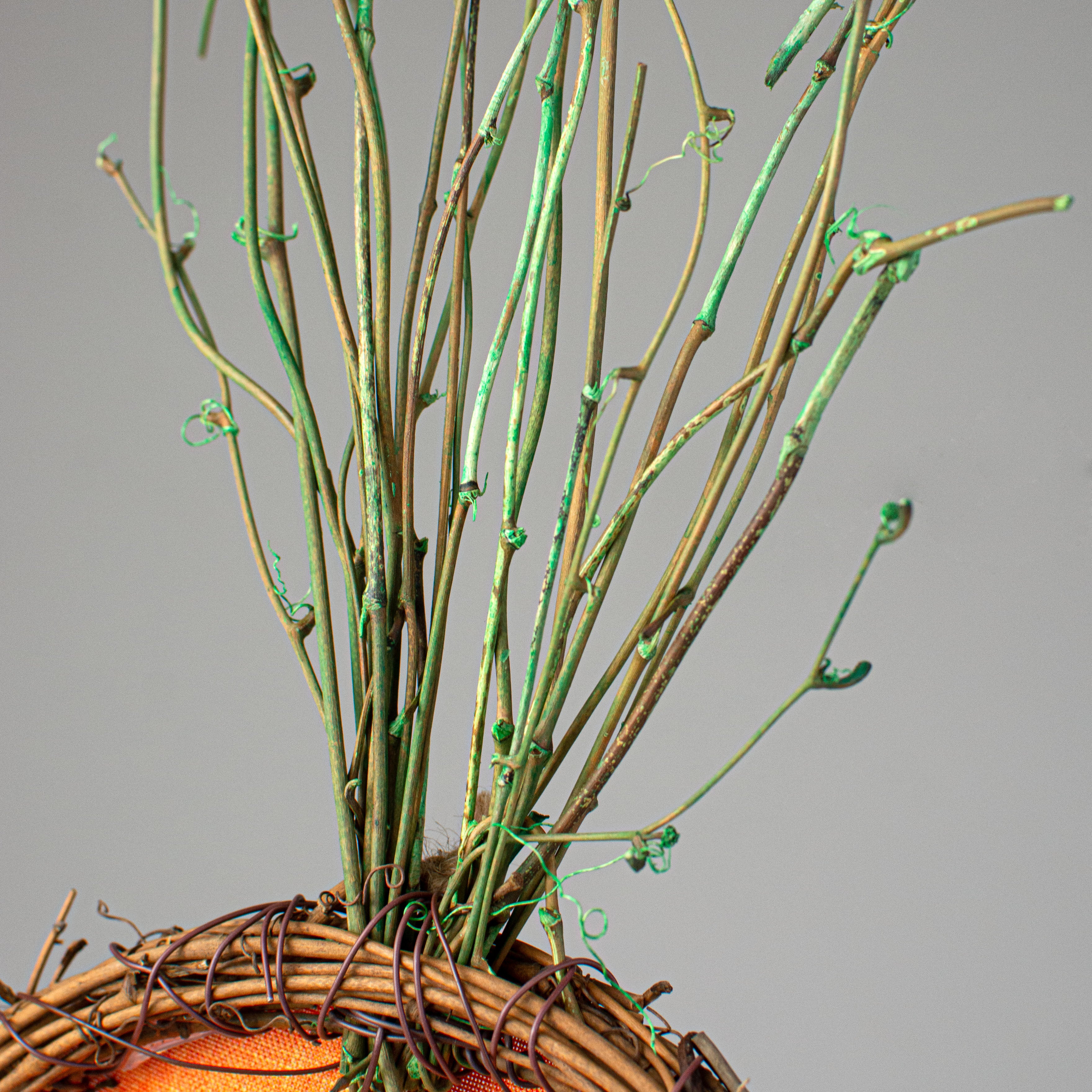 24" Grapevine Hanger: Polka Dot Carrot detail photo 3