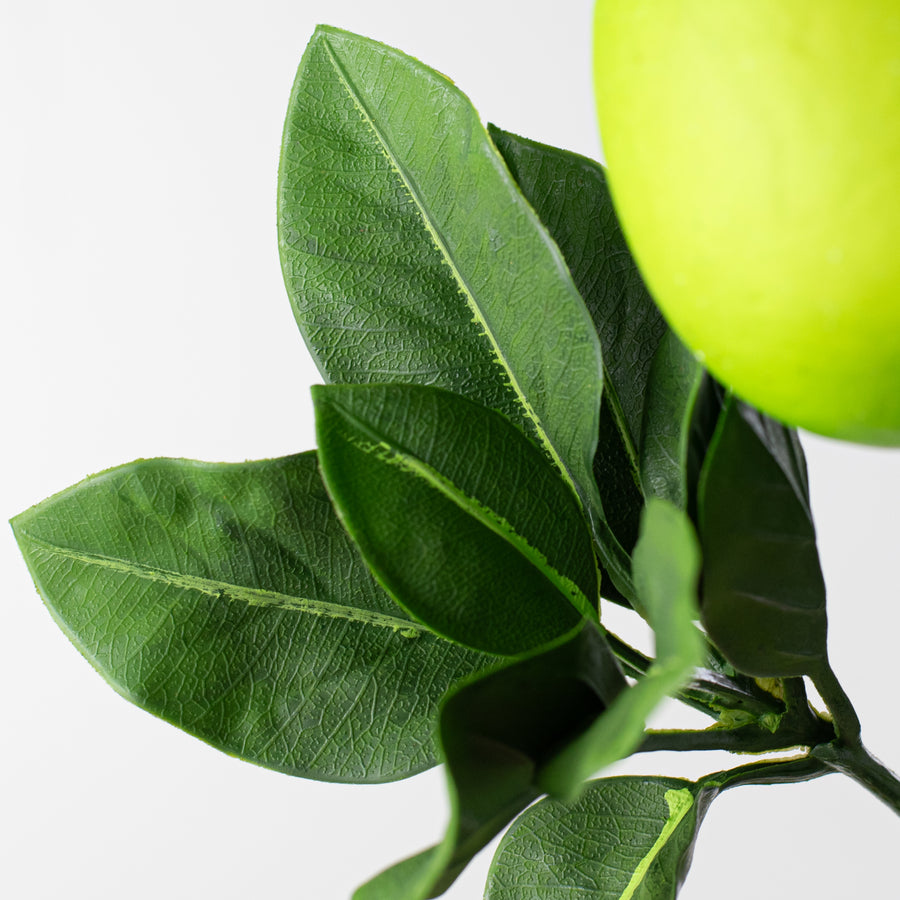 20" Green Apples & Leaves Spray detail photo 4