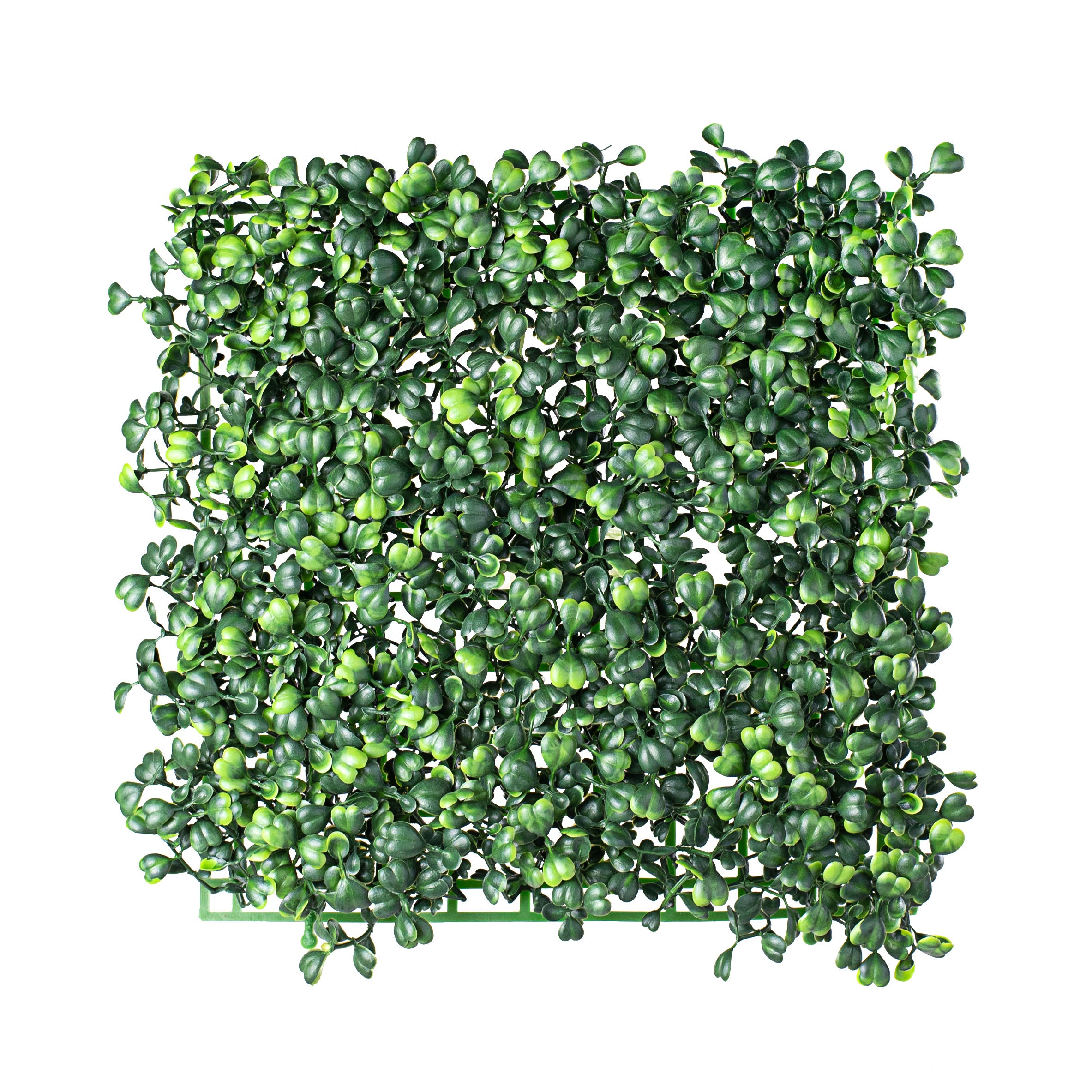 10" Green Boxwood Mat Item Number: 2120020GR