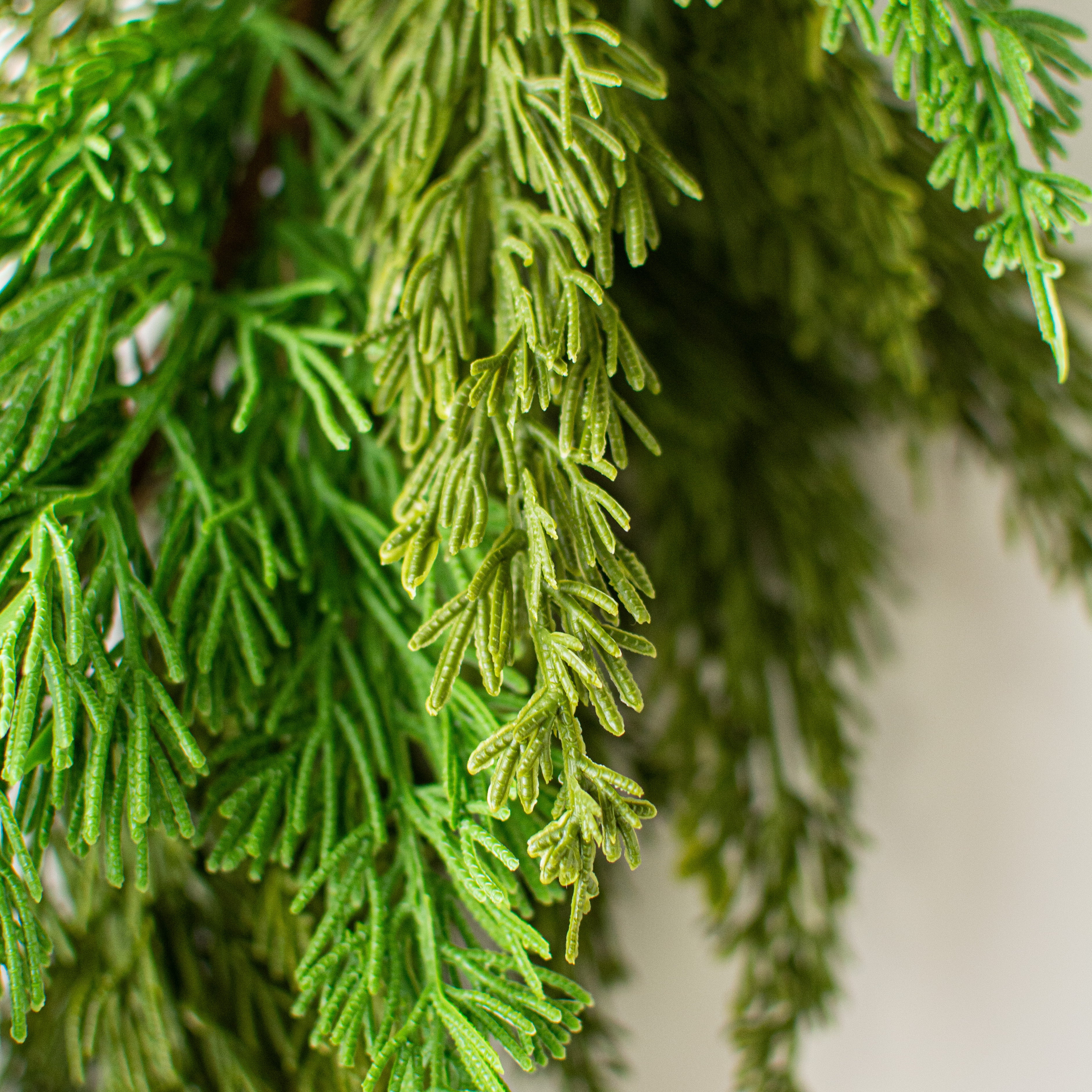72" Green Cedar Garland detail photo 4