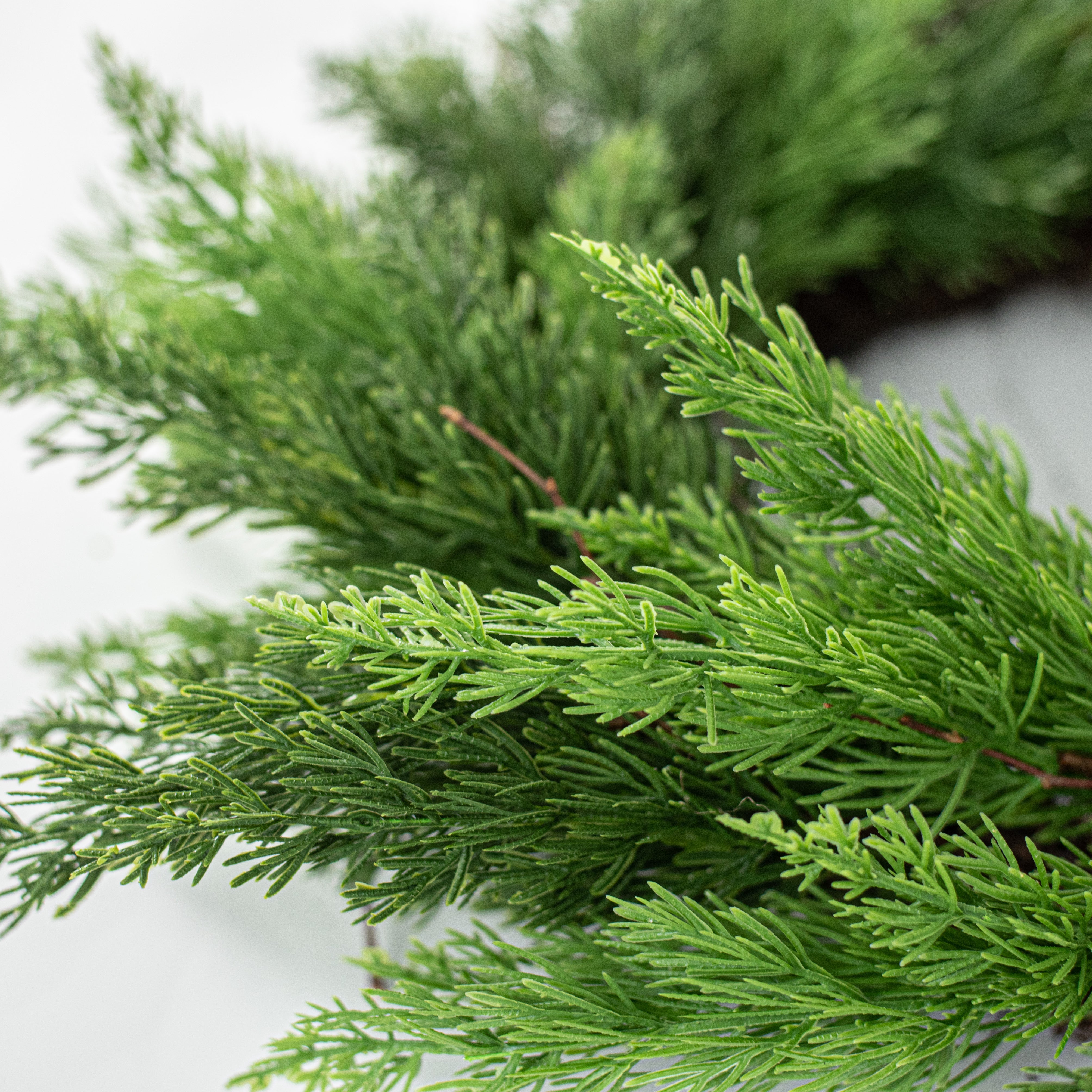 24" Green Cedar Wreath detail photo 3