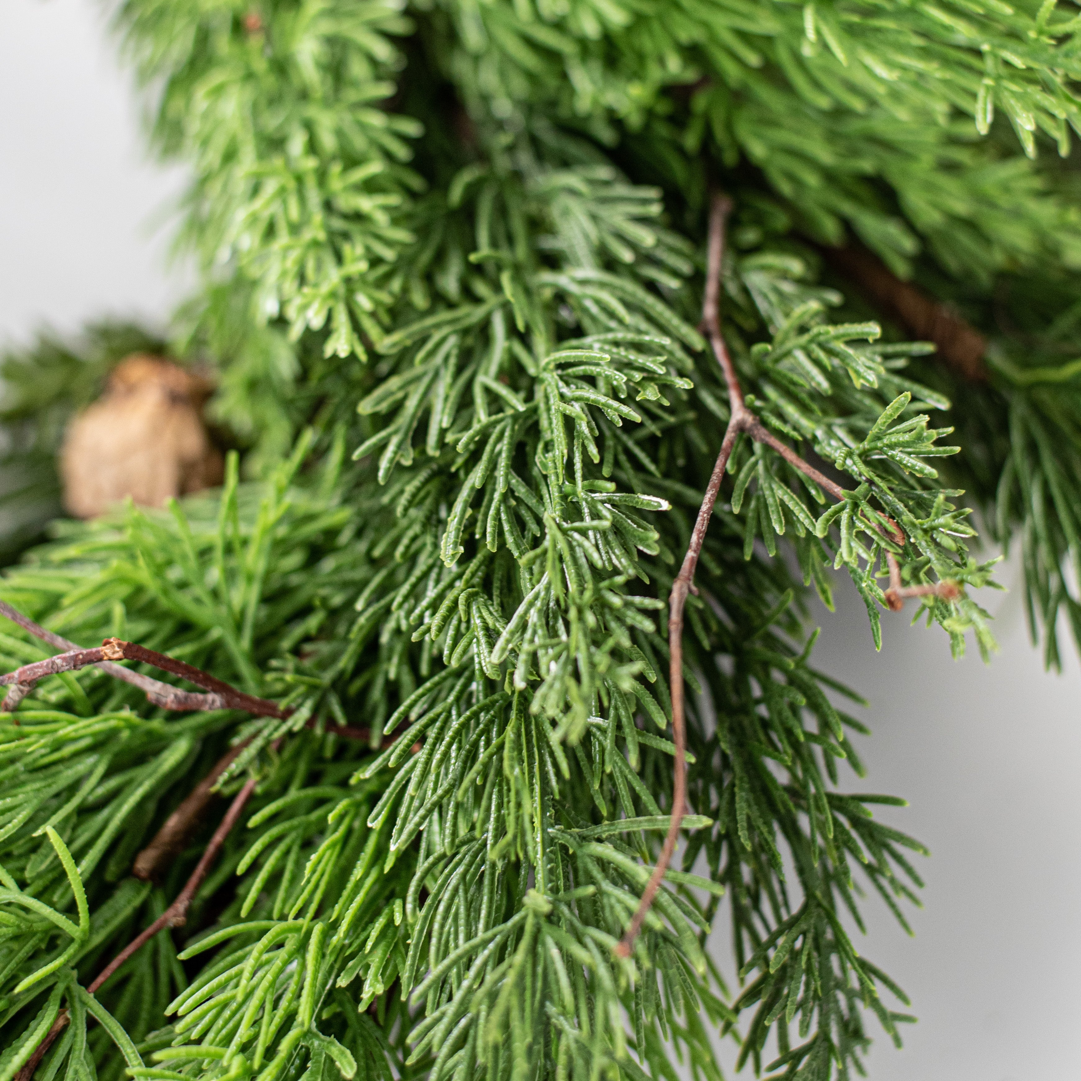 24" Green Cedar Wreath detail photo 5