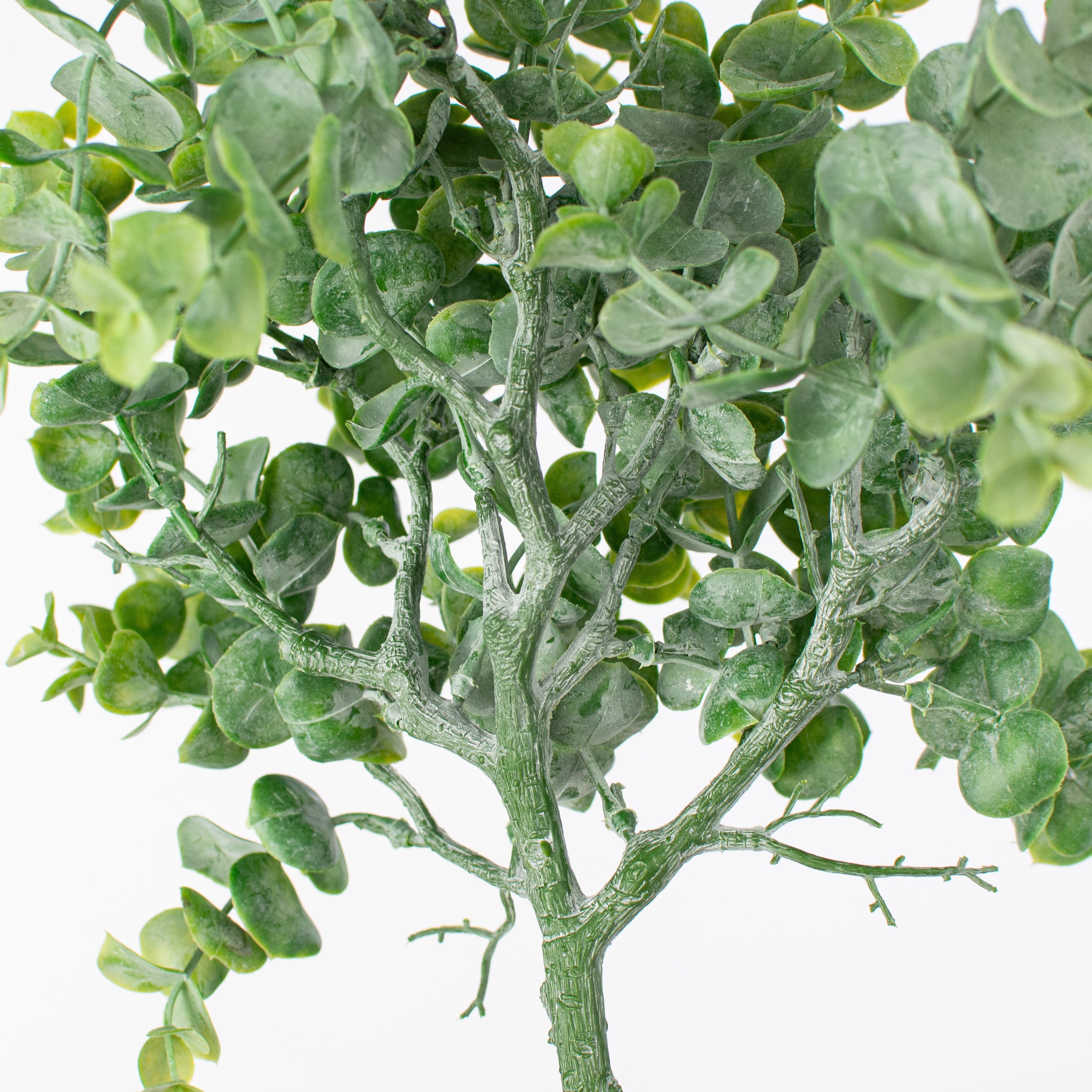 14" Green Eucalyptus Bush Lifestyle Photo