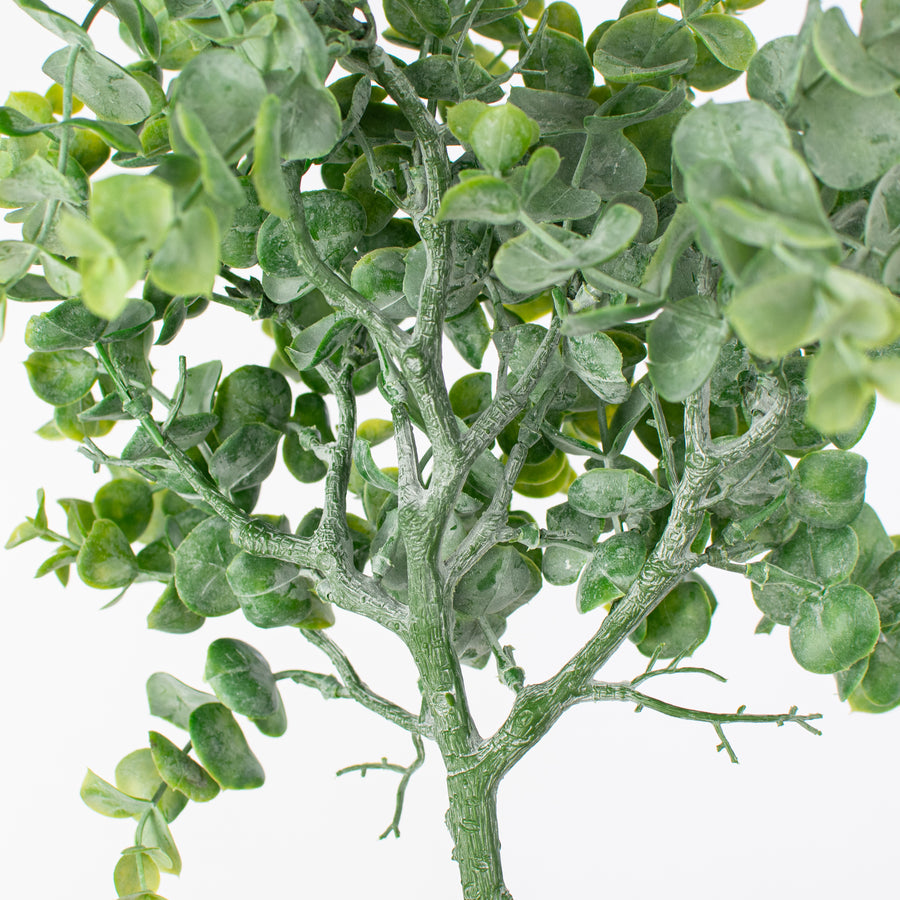 14" Green Eucalyptus Bush Lifestyle Photo