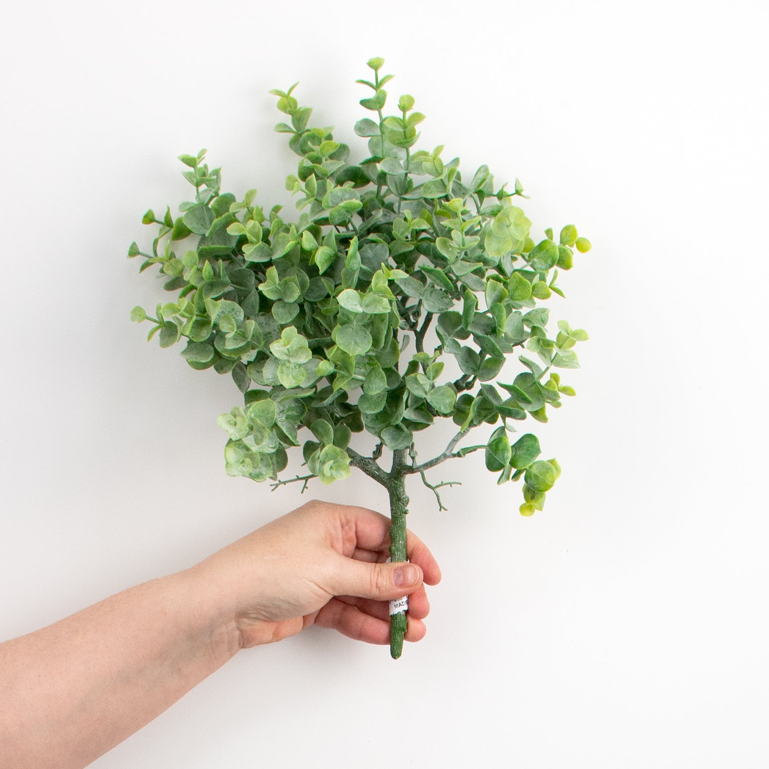 14" Green Eucalyptus Bush detail photo 3