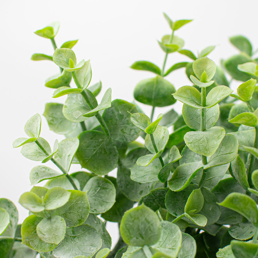 14" Green Eucalyptus Bush detail photo 4
