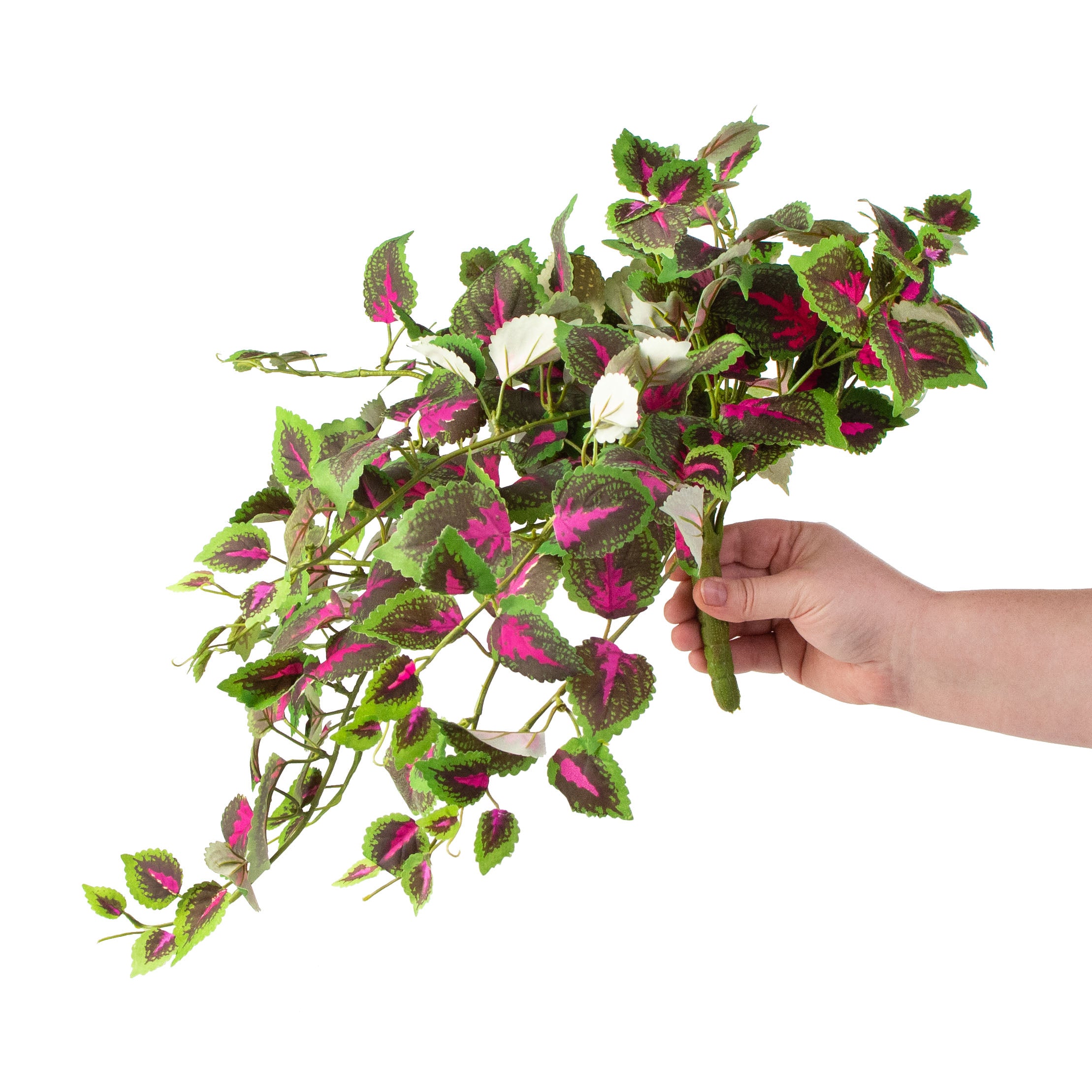 20" Green & Fuchsia Coleus Leaf Bush detail photo 3