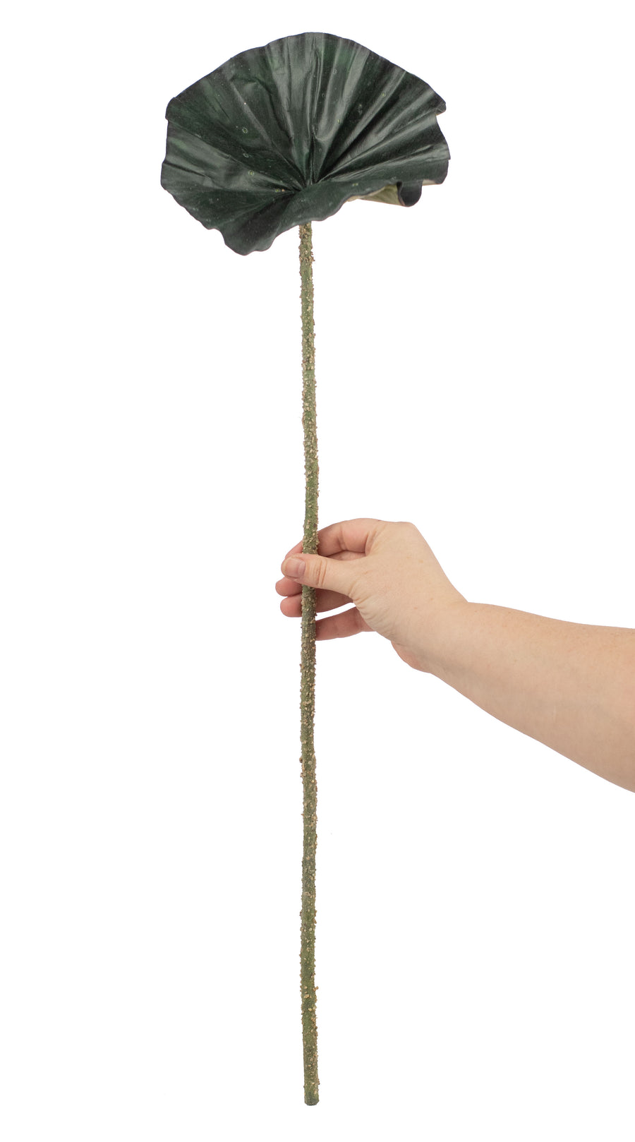 28" Green Lotus Leaf Pick Lifestyle Photo
