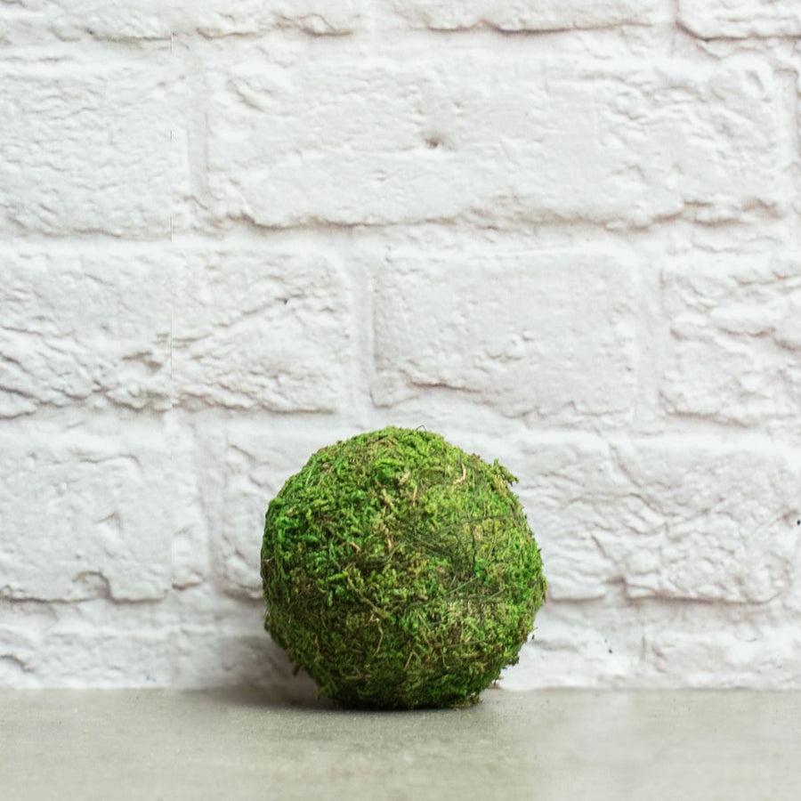 3" Green Moss Ball Item Number: KC1054