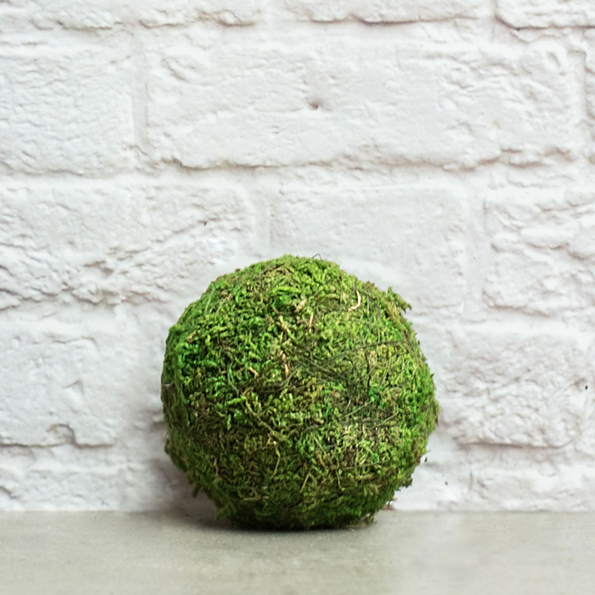 4" Green Moss Ball Item Number: KC1055