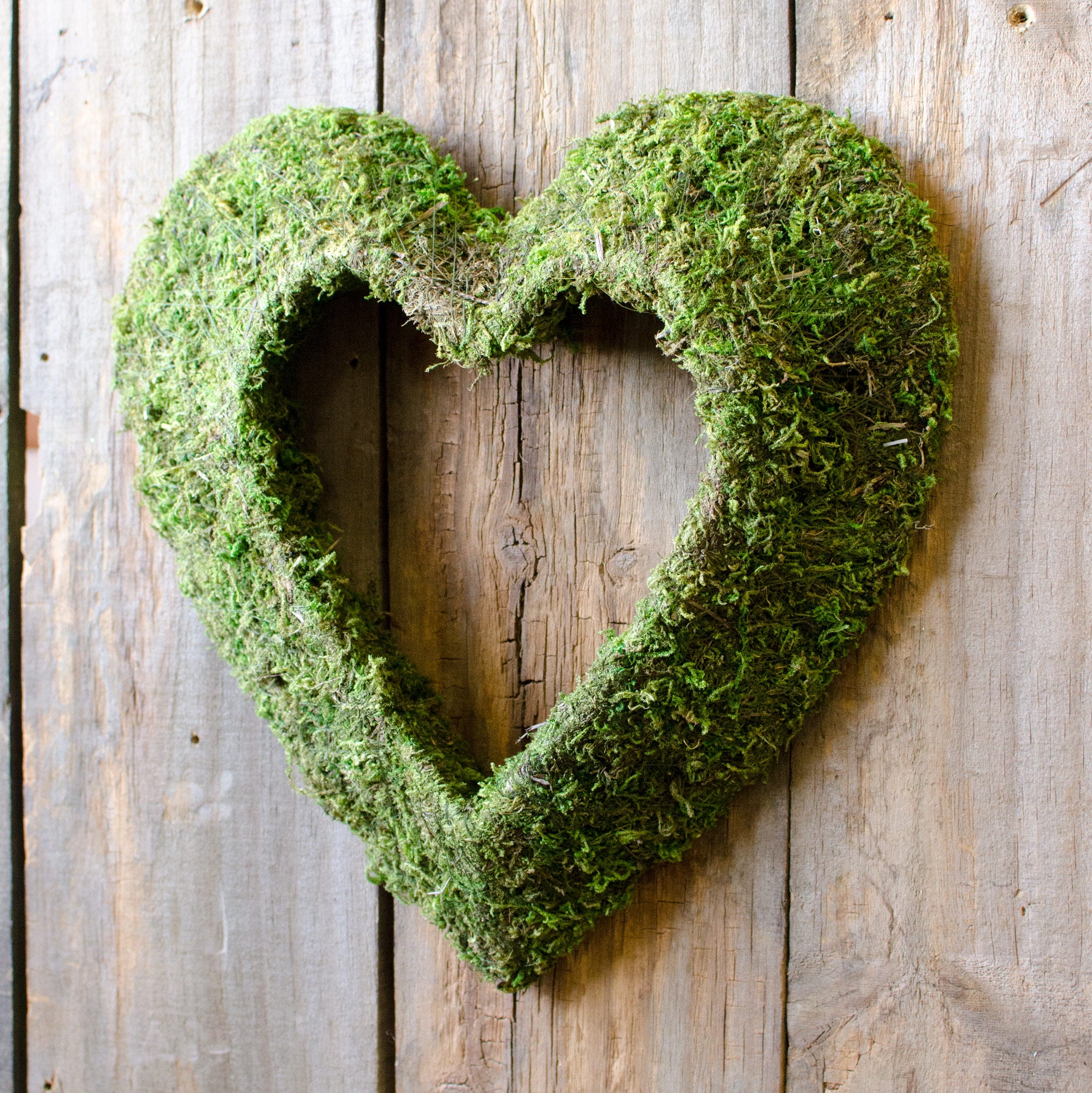 12" Green Moss Heart Lifestyle Photo