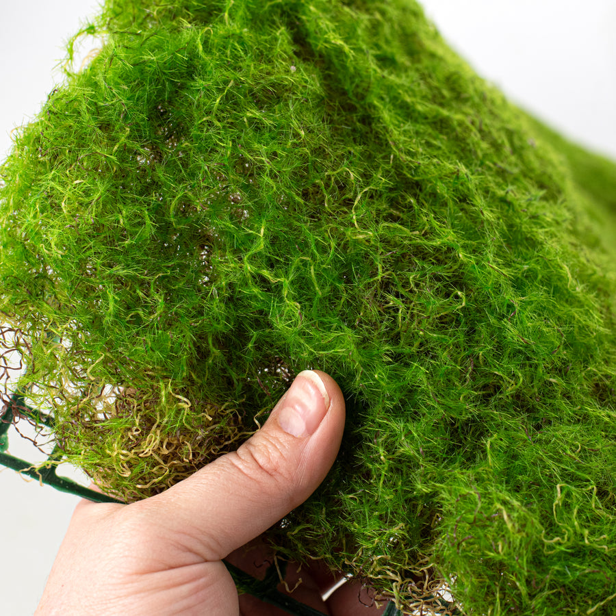 23" Green Moss Mat Lifestyle Photo