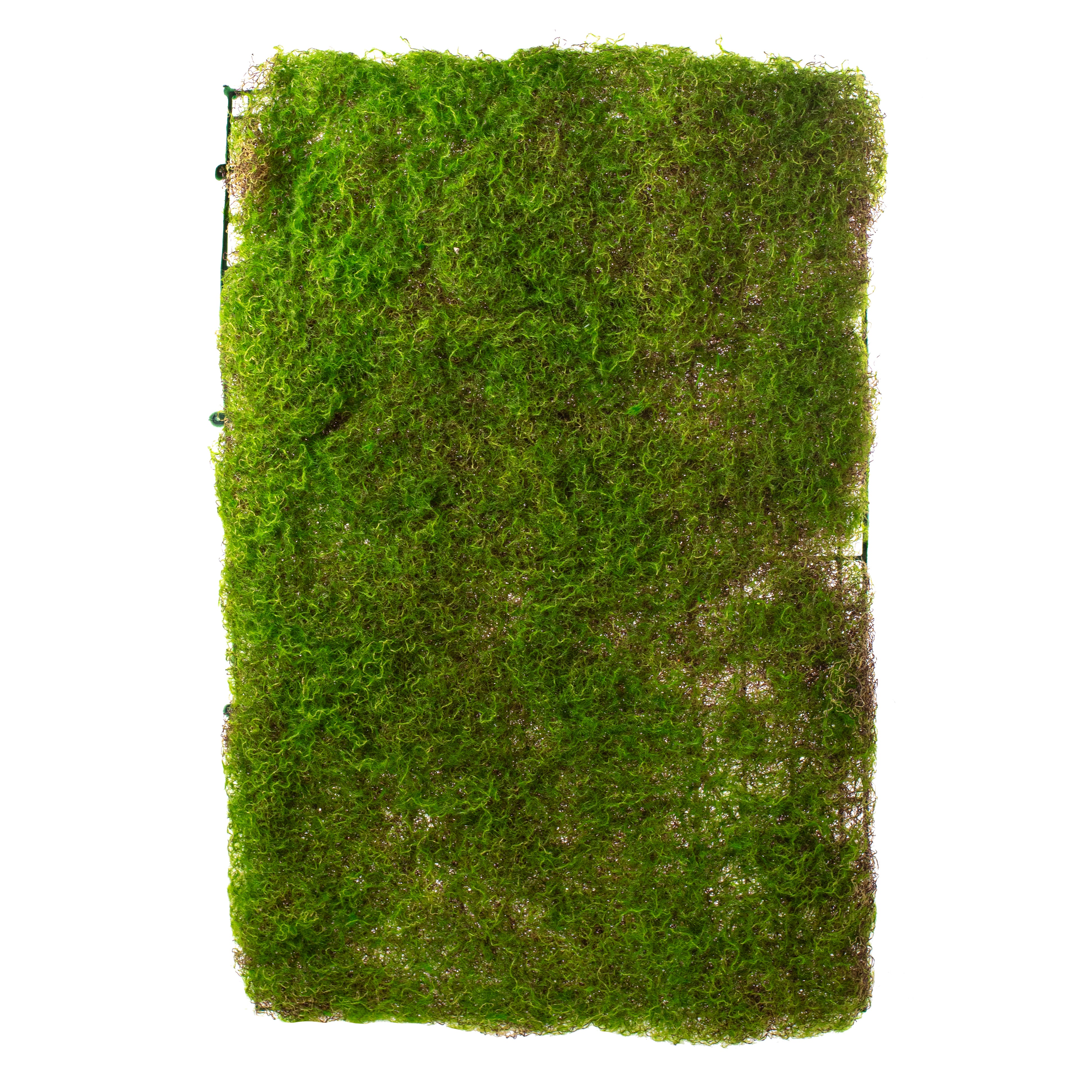 23" Green Moss Mat Item Number: FG6462