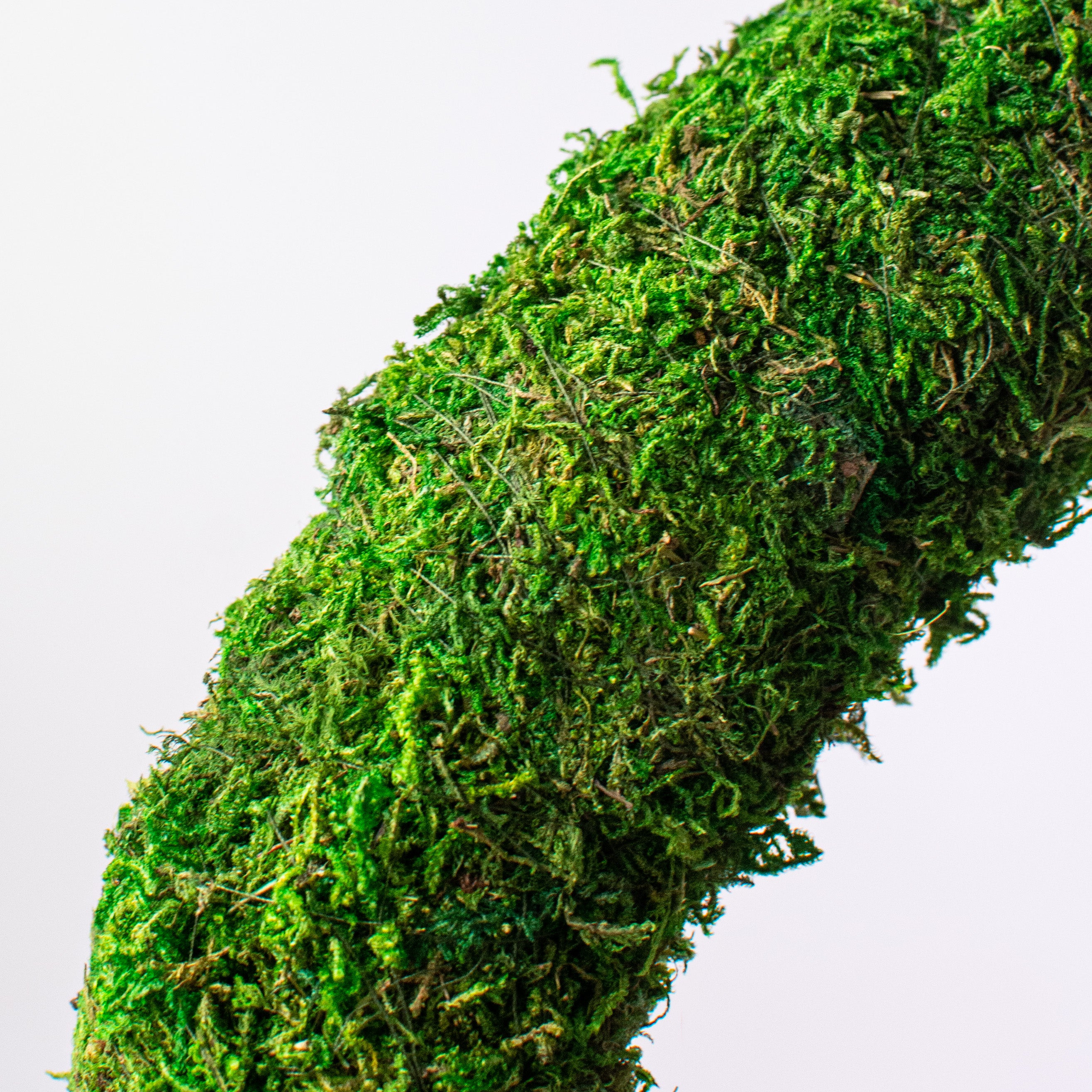 16" Green Moss Wreath detail photo 3