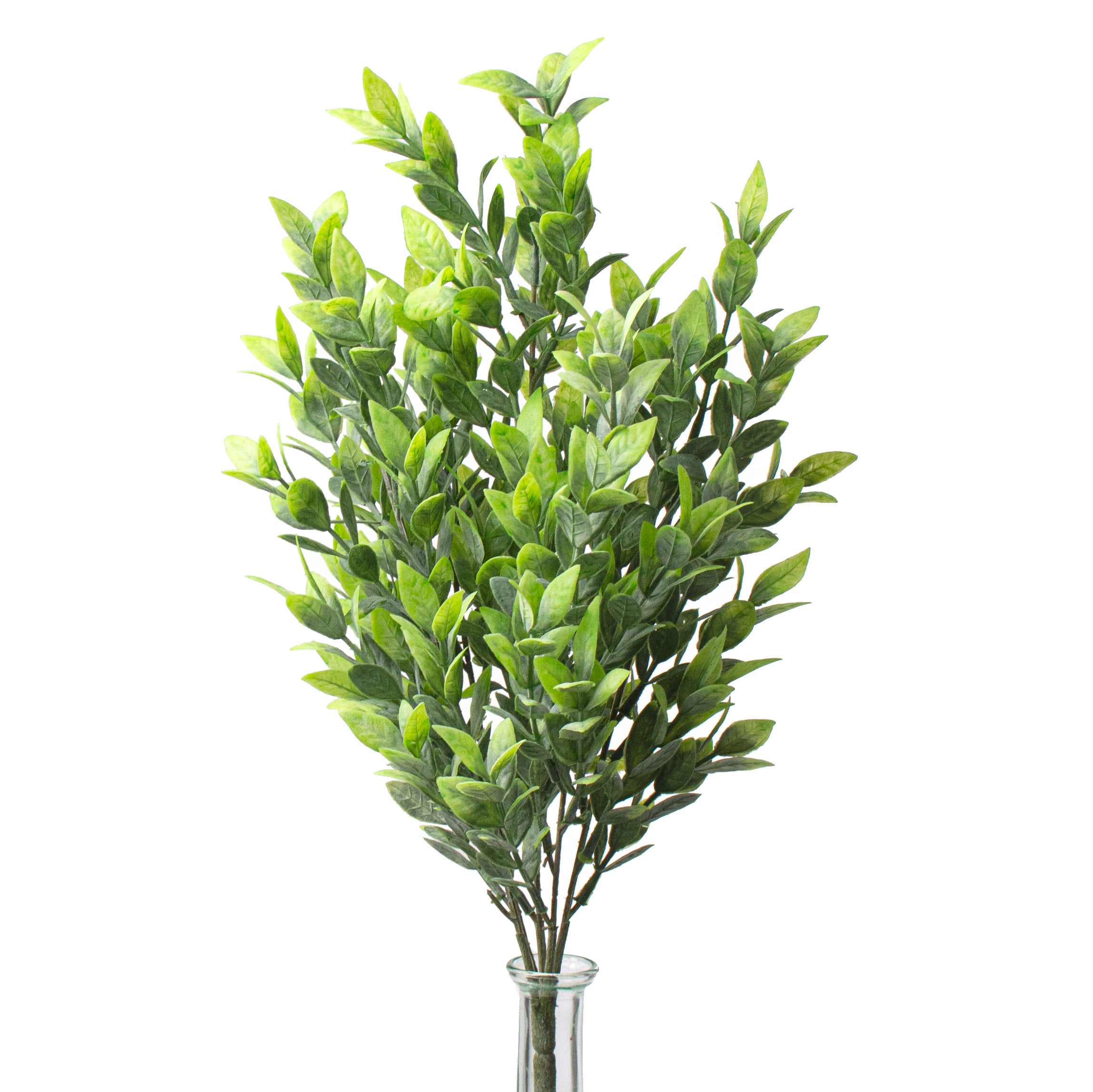 21" Green Ruscus Bush Item Number: 81580