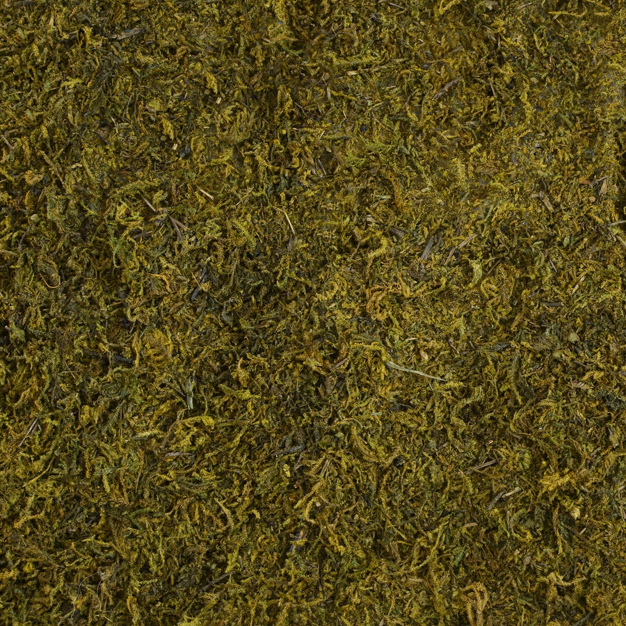 20" Green Sheet Moss Roll: 48" Lifestyle Photo