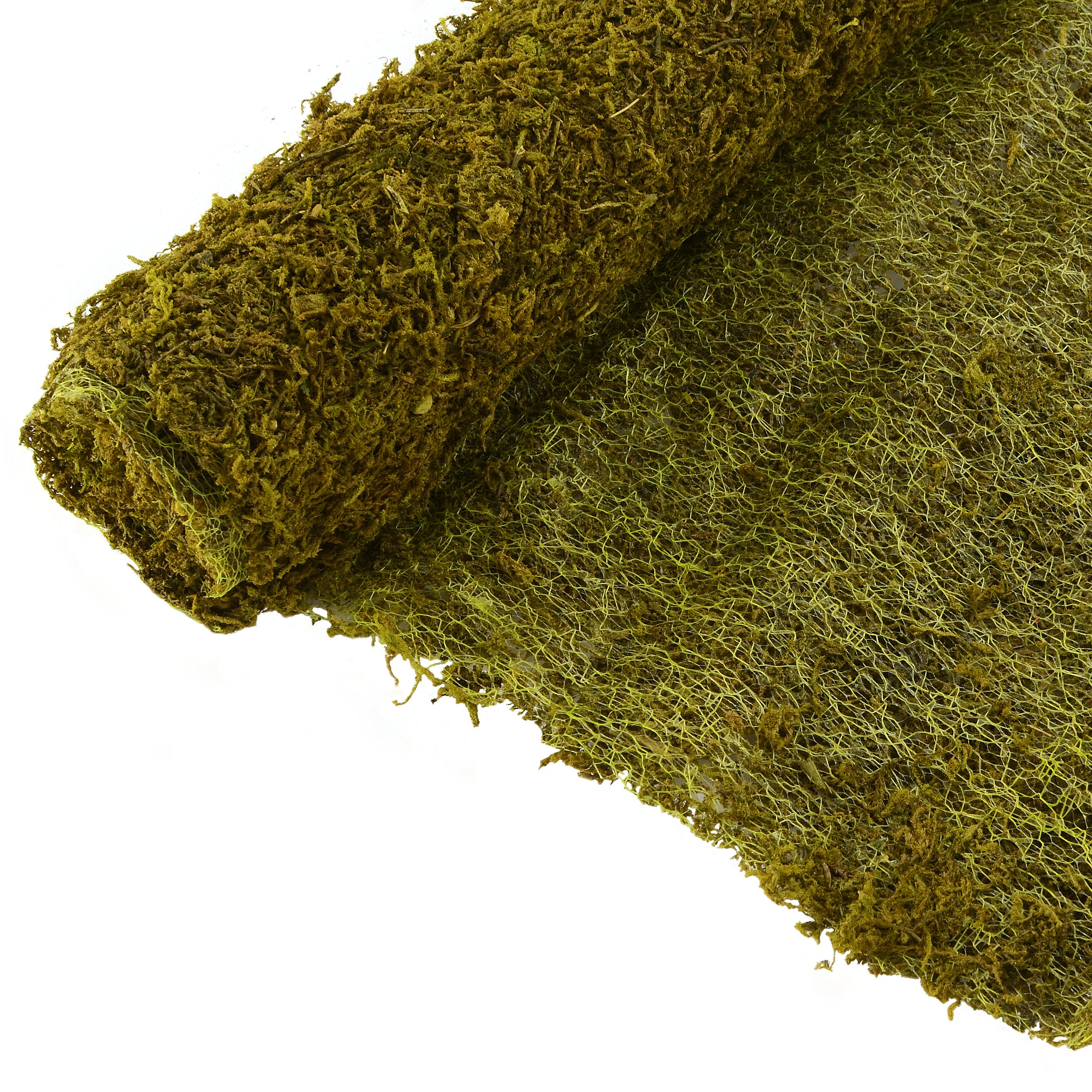 20" Green Sheet Moss Roll: 48" detail photo 3
