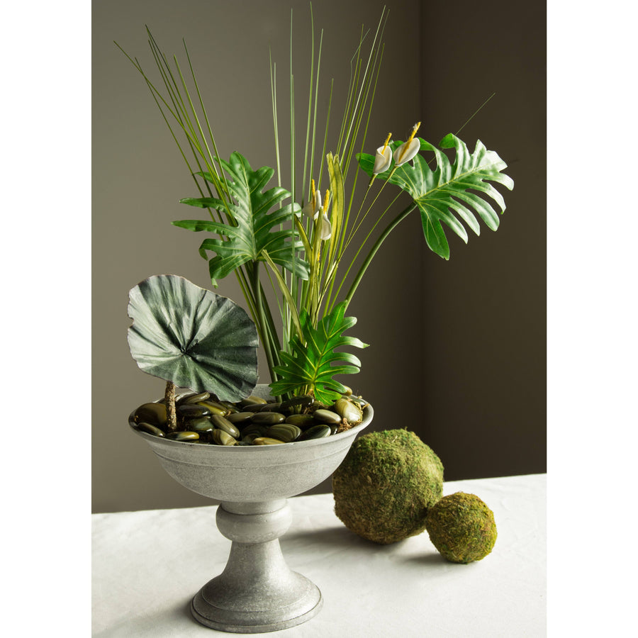 24" Green Split Leaf Philodendron Bush Lifestyle Photo