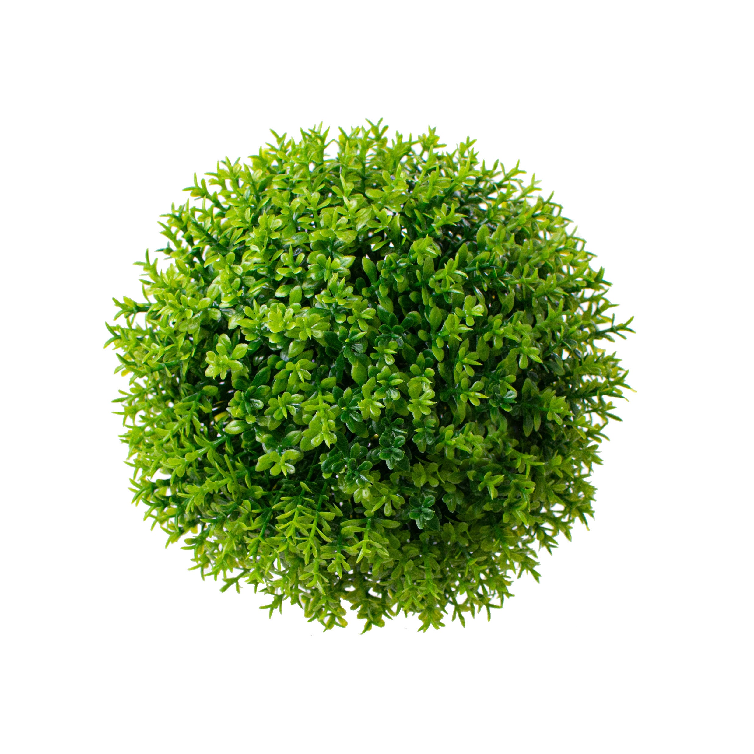 5" Green Thyme Ball Item Number: 13309BA5