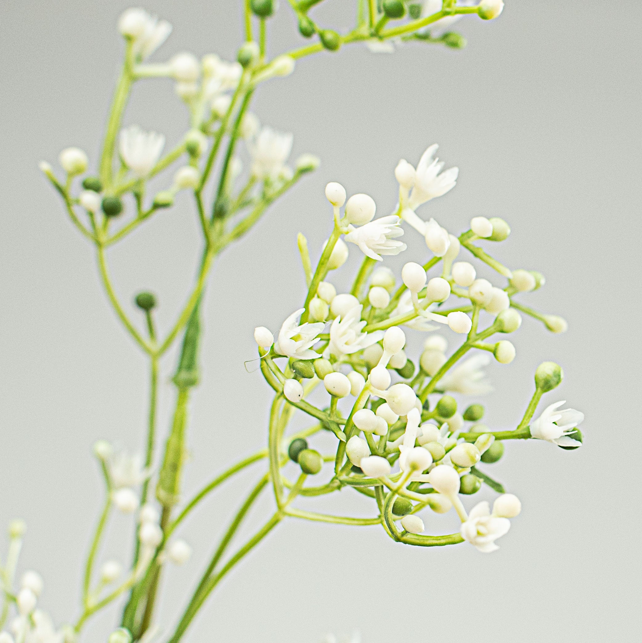 27" Gypso Baby's Breath Spray Lifestyle Photo