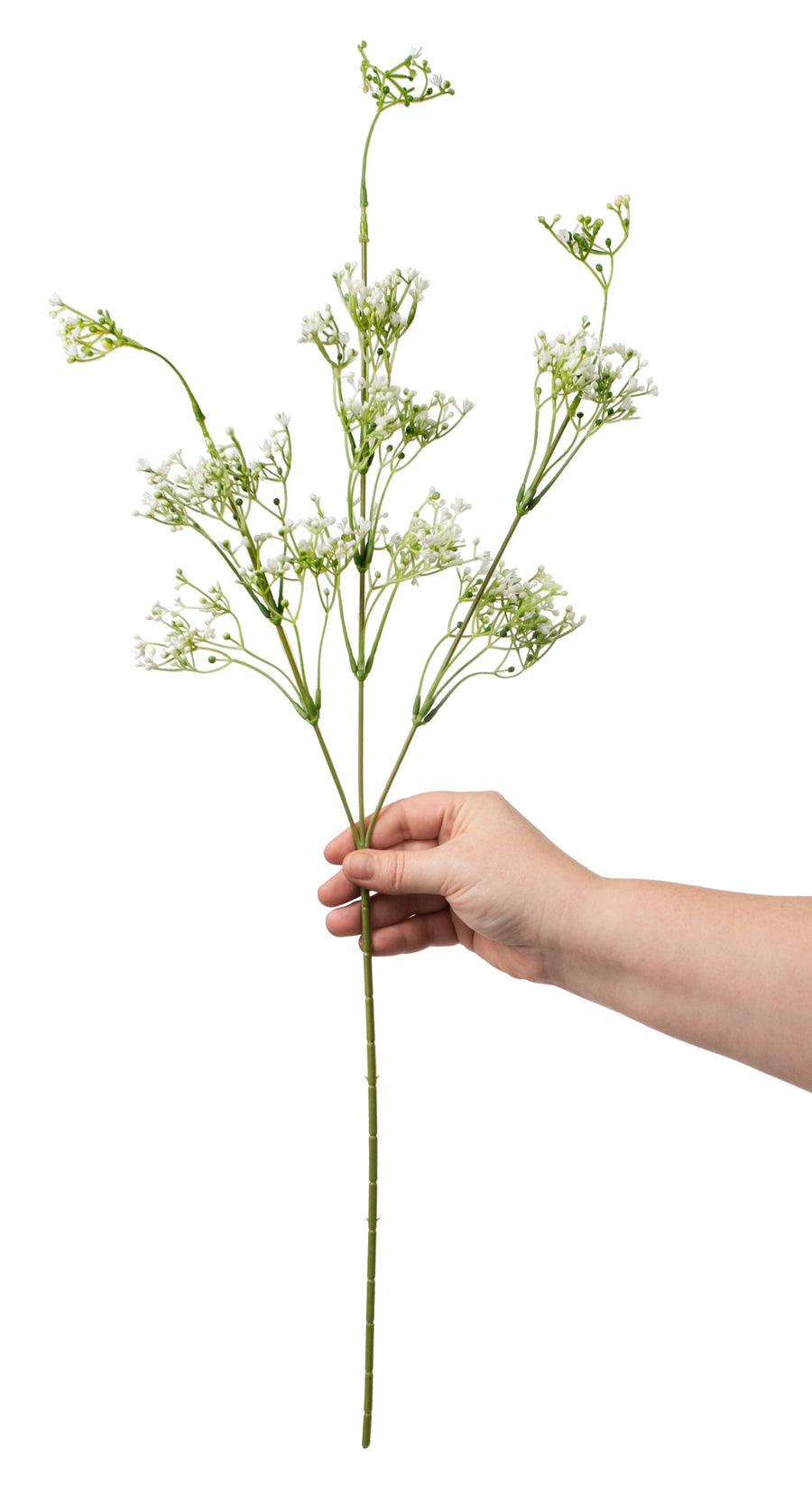 27" Gypso Baby's Breath Spray detail photo 3
