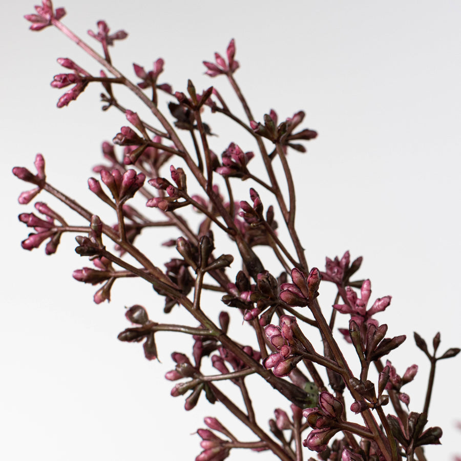 20" Gypso Bush: Dark Purple (7 Stem) Lifestyle Photo