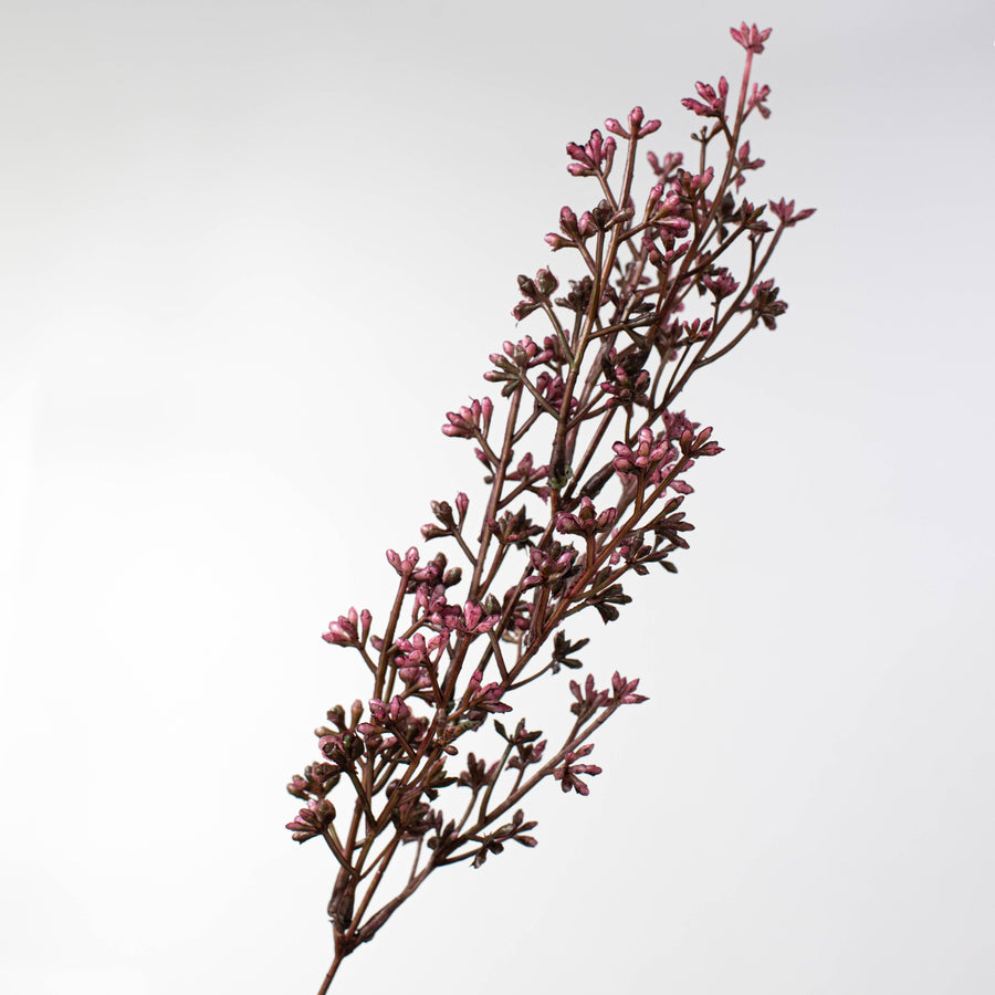 20" Gypso Bush: Dark Purple (7 Stem) detail photo 4
