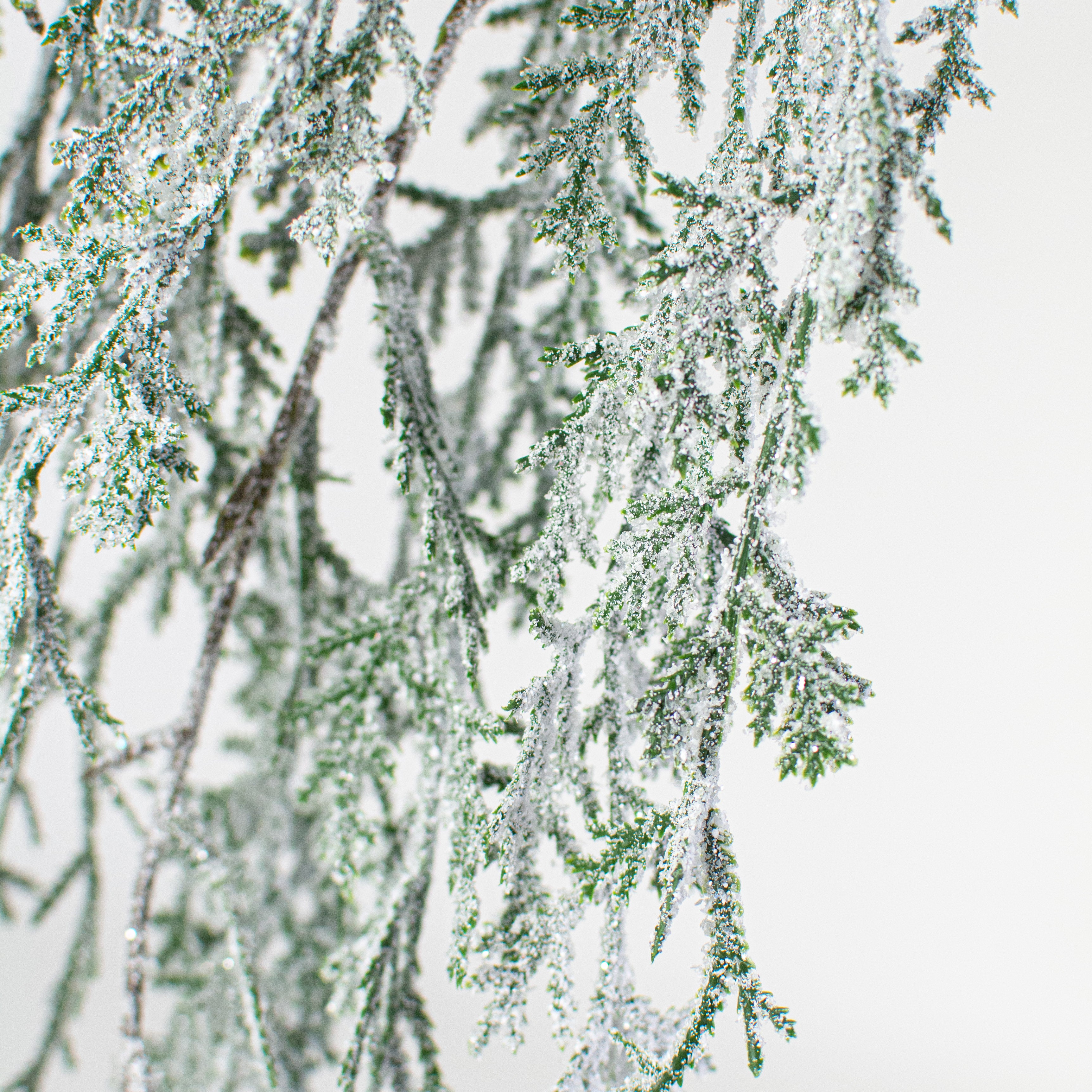 44" Hanging Cedar Snow Spray detail photo 3