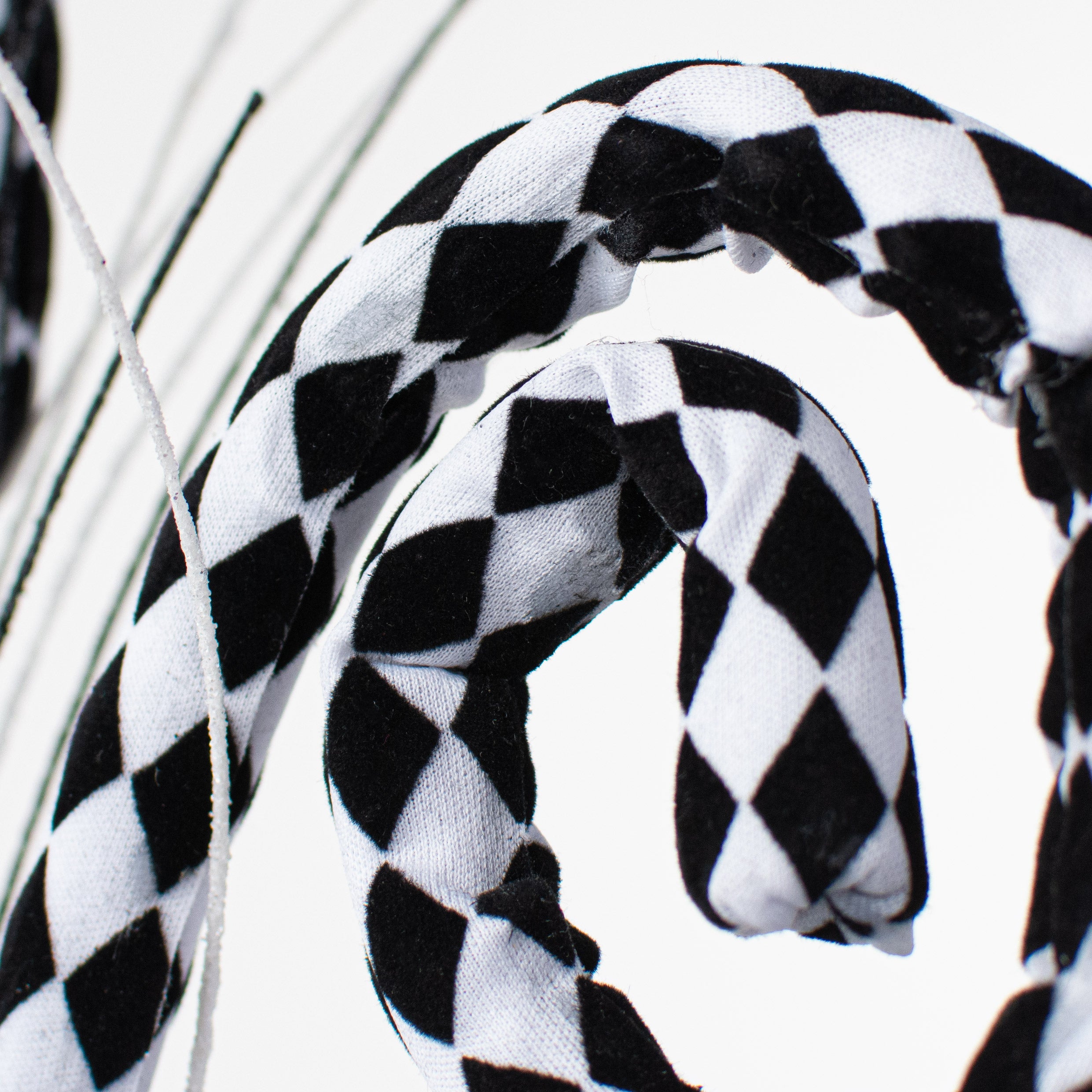 31" Harlequin Tubing Coil With Spray Lifestyle Photo