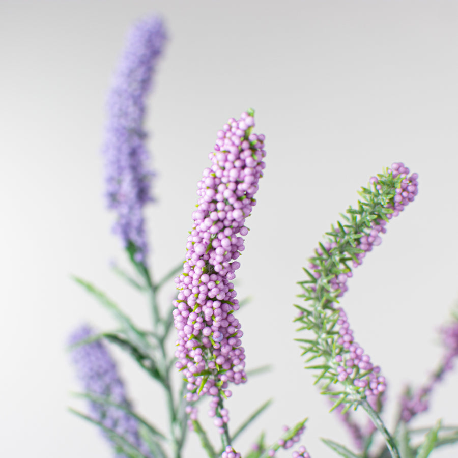 12" Heather Bush: Lavender Lifestyle Photo