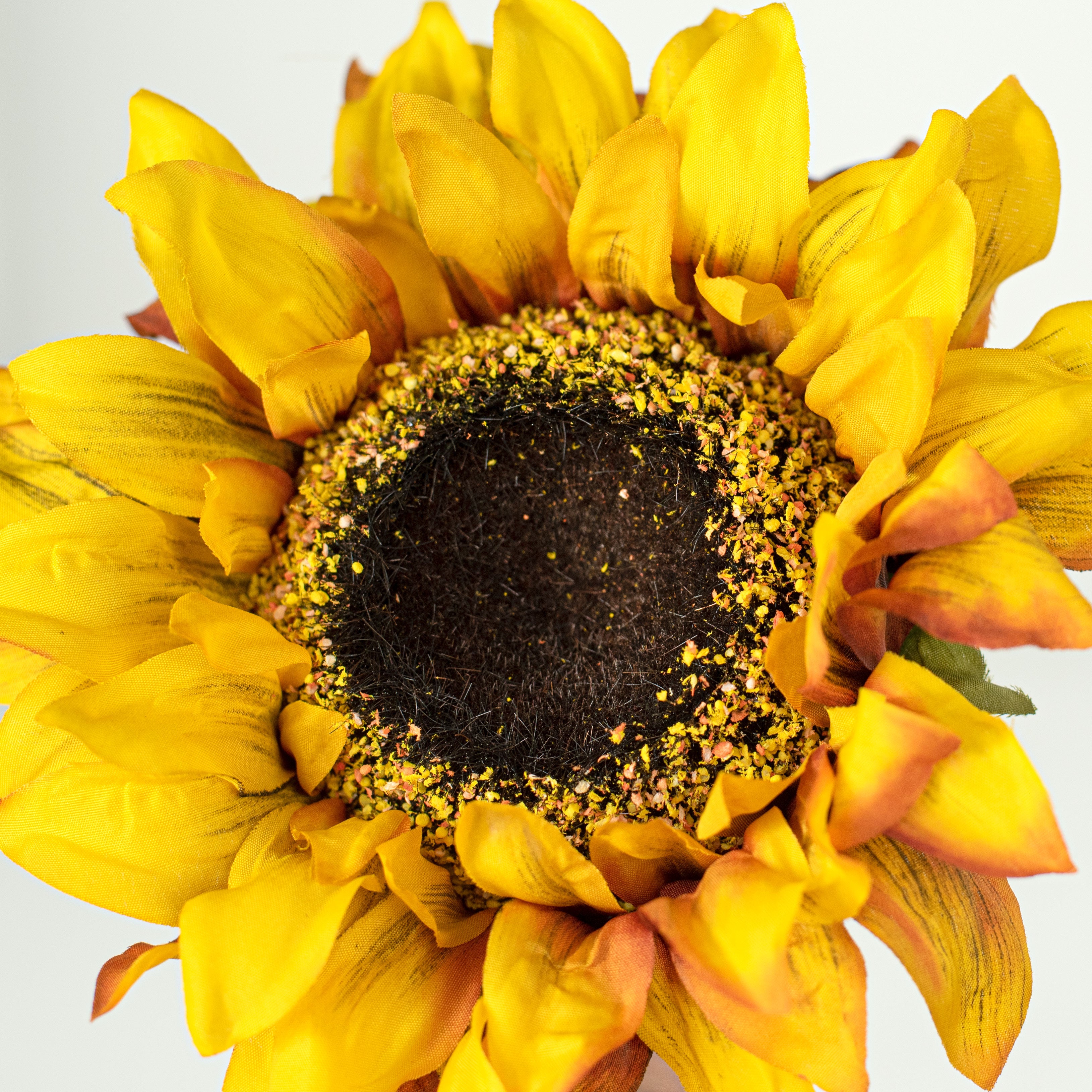8" Helianthus Sunflower Pick detail photo 3