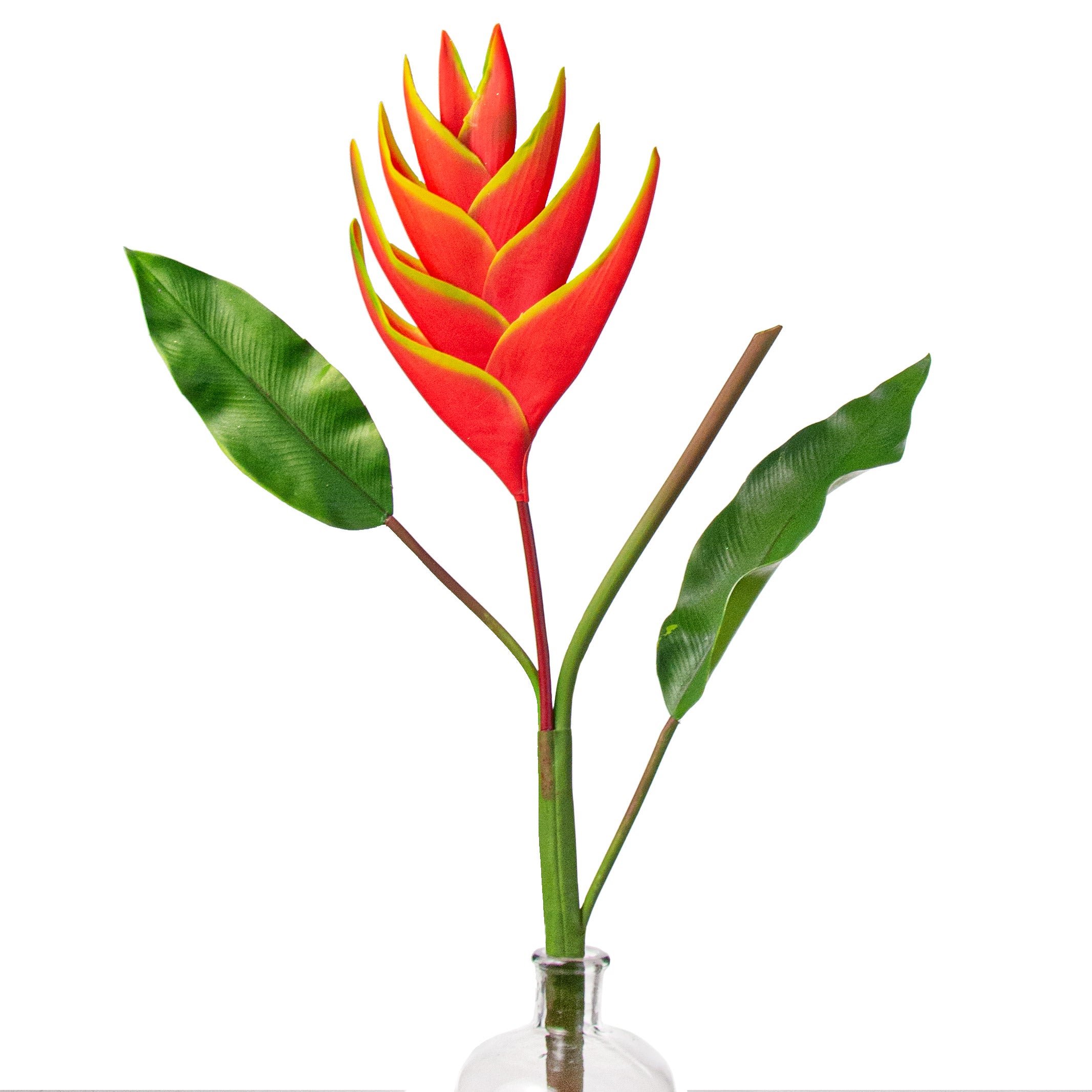 37" Heliconia Lobster Claw Flower: Yellow & Orange Item Number: 2258016YO