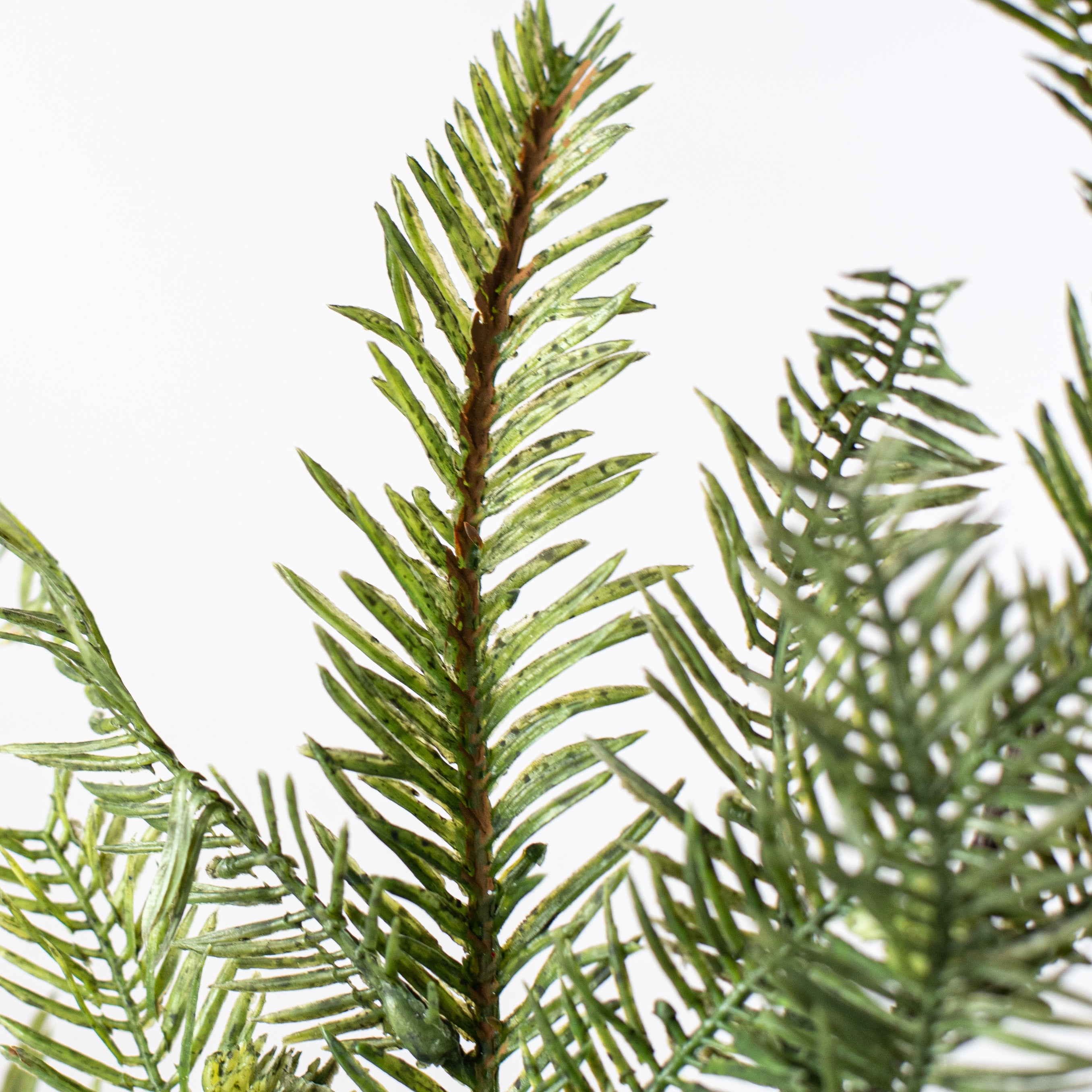 17" Hemlock Pine Spray detail photo 4