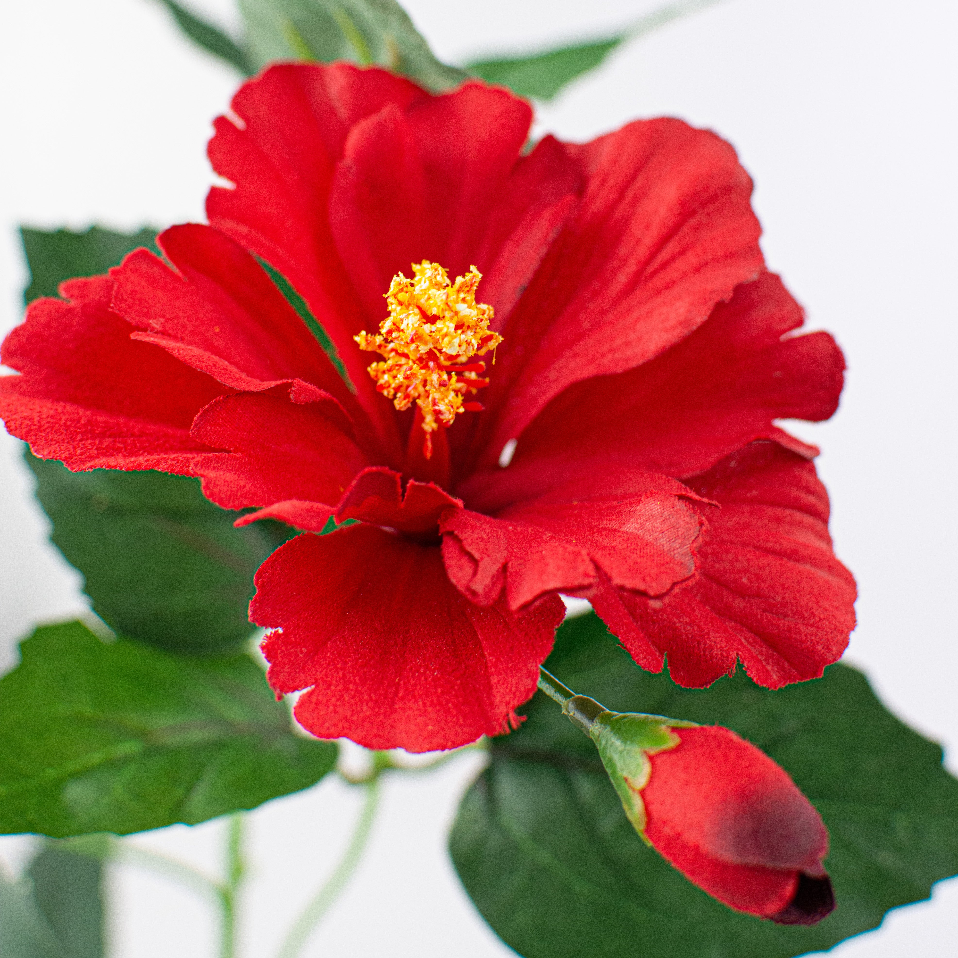 28" Hibiscus Spray: Red Lifestyle Photo