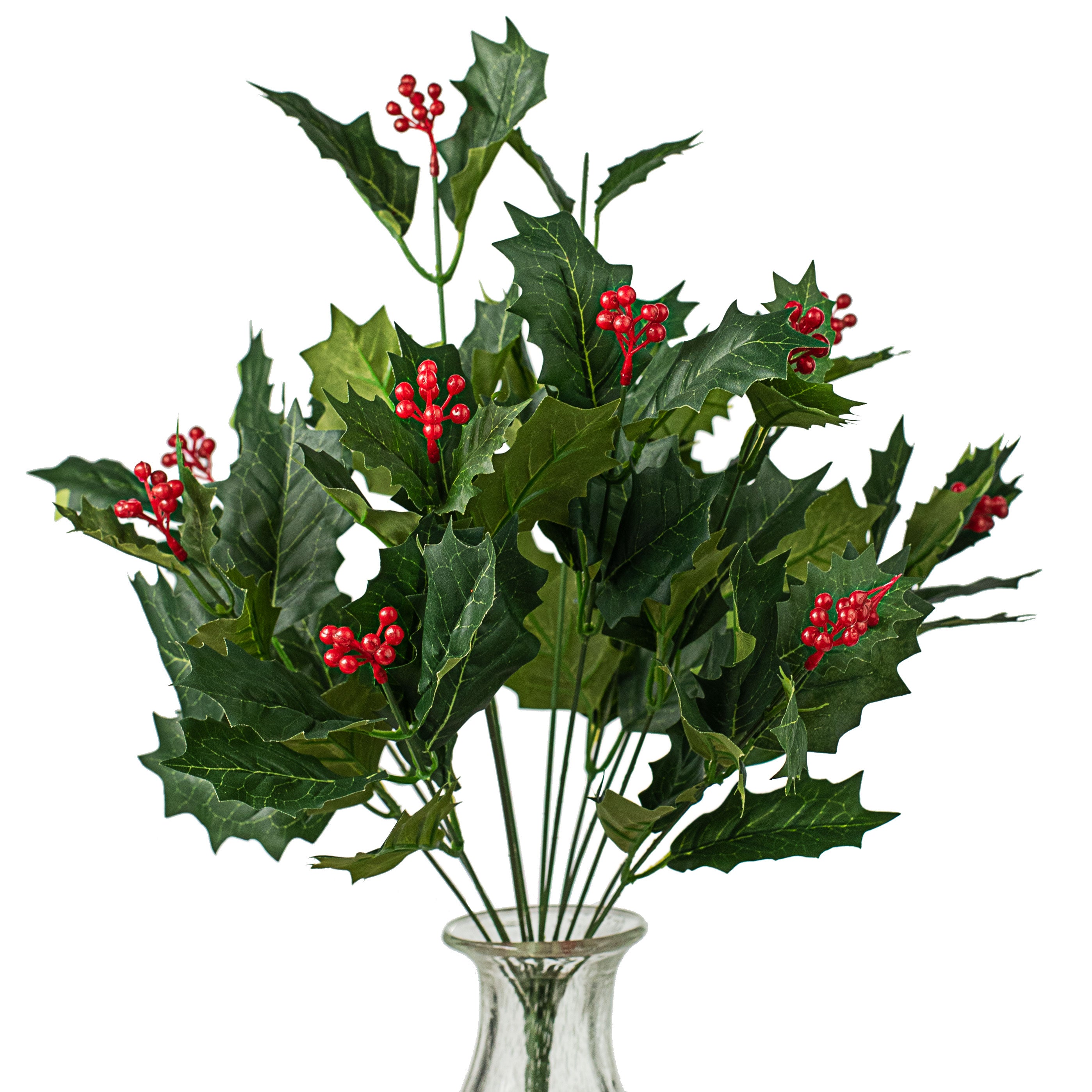 Holly Berry Bush (12) Item Number: 80114GN