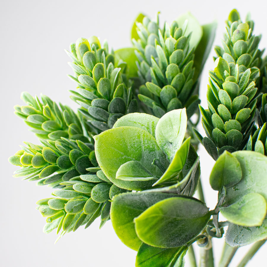 11" Hops With Eucalyptus Leaves Bundle: Green Lifestyle Photo
