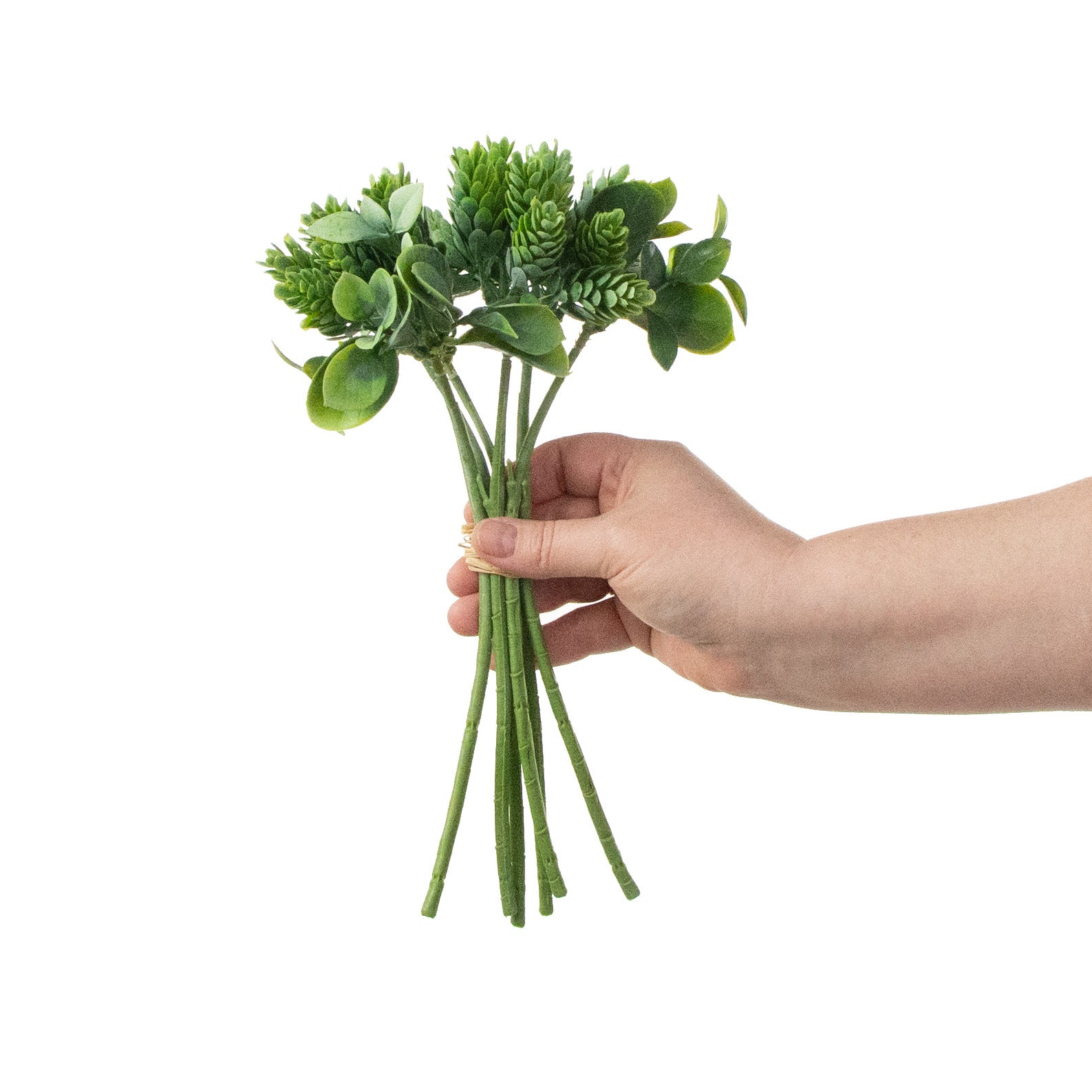 11" Hops With Eucalyptus Leaves Bundle: Green detail photo 3