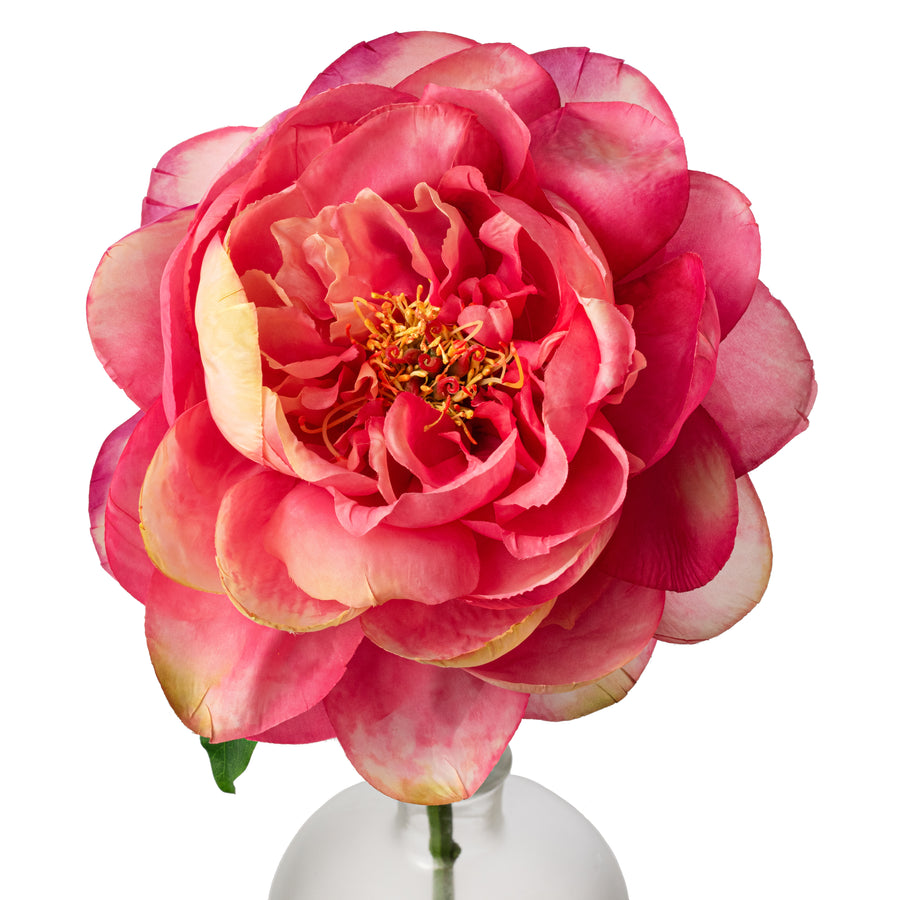 27" Artificial Peony Flower Stem: Hot Pink