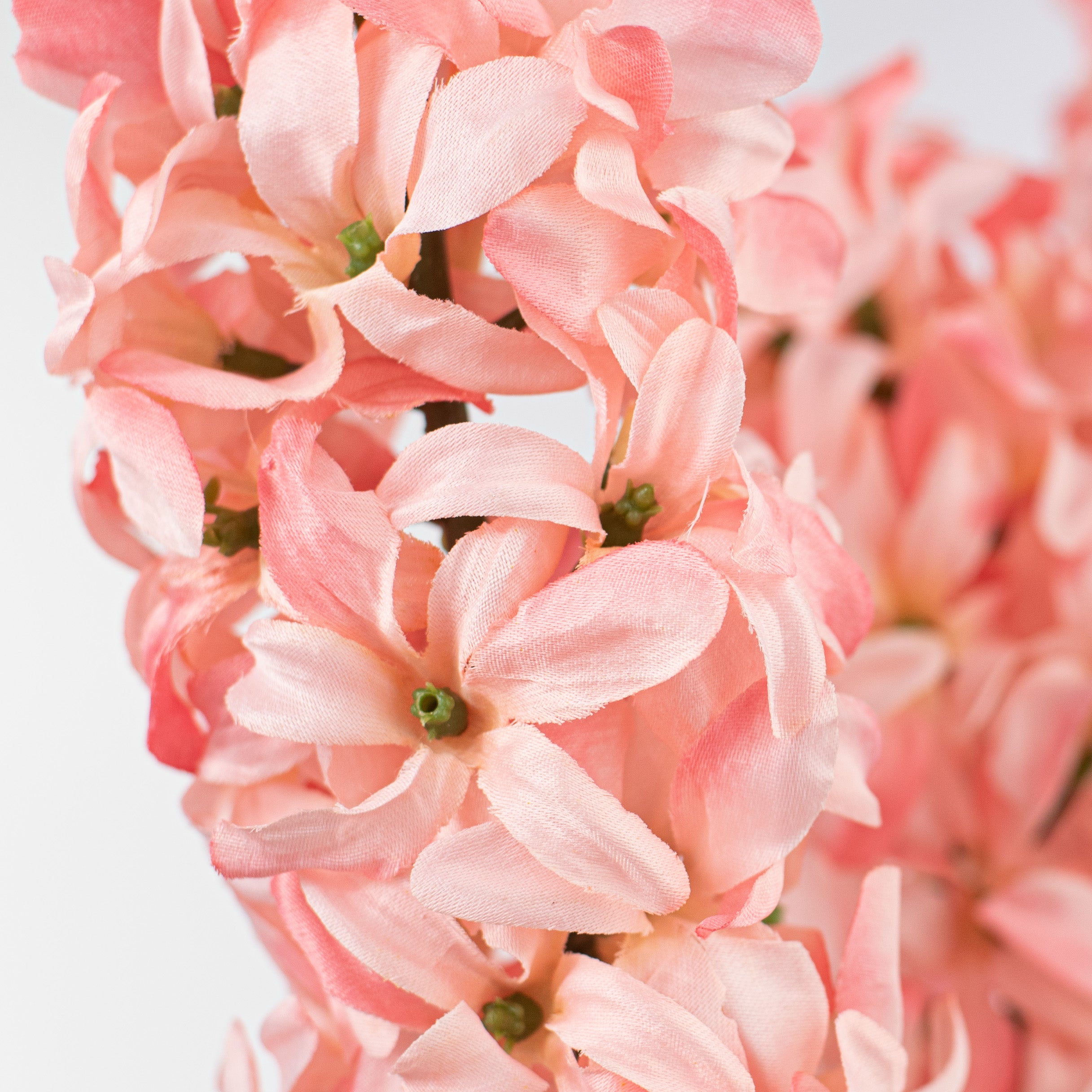25" Hyacinth Bush: Pink Lifestyle Photo