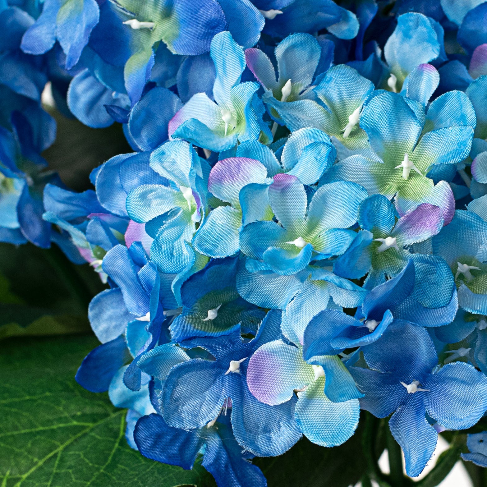 19" Hydrangea Bush: Blue (5) Lifestyle Photo