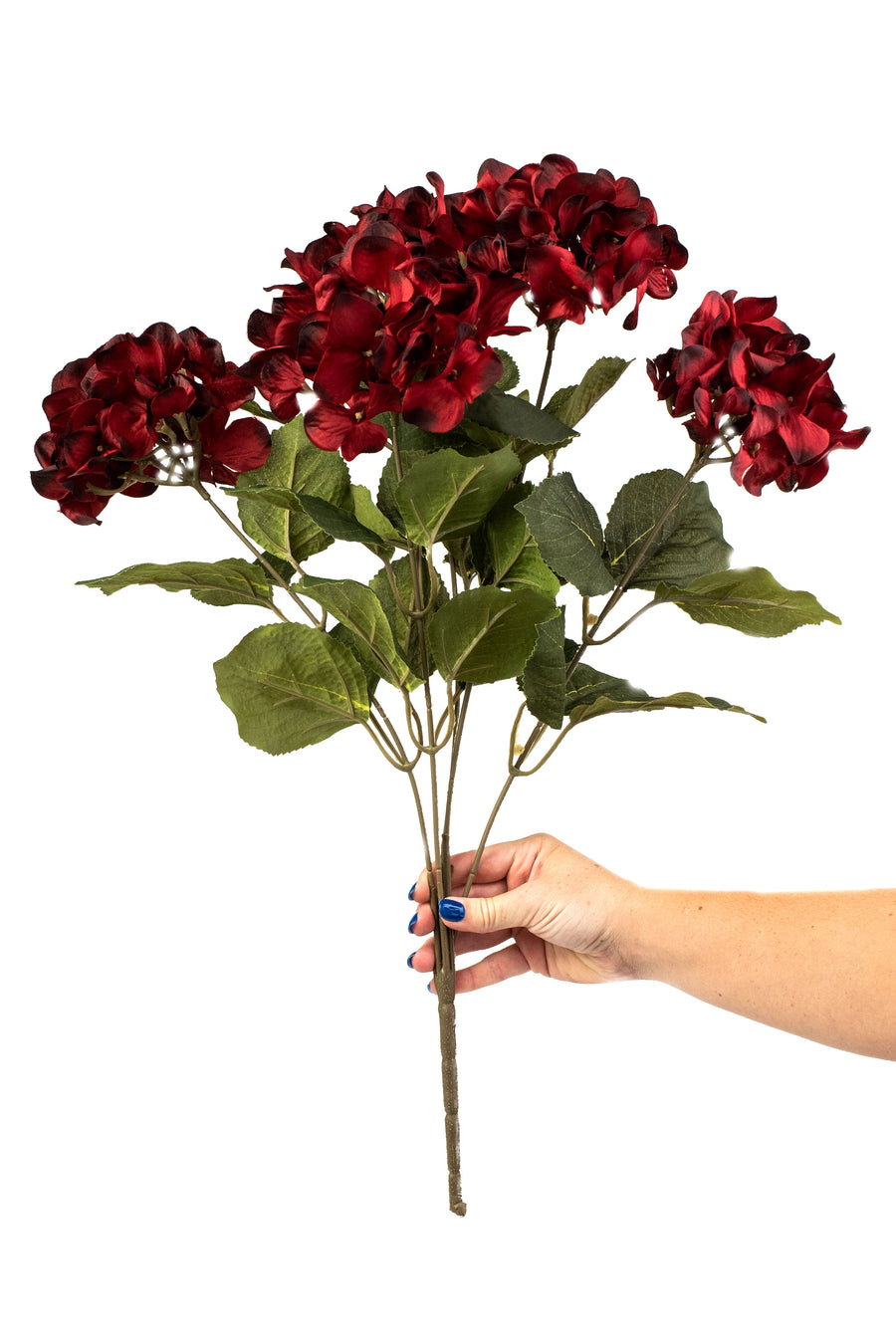 21" Hydrangea Bush: Burgundy detail photo 3