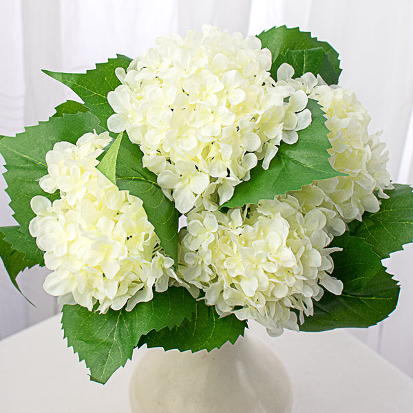 hydrangea-bush-cream-