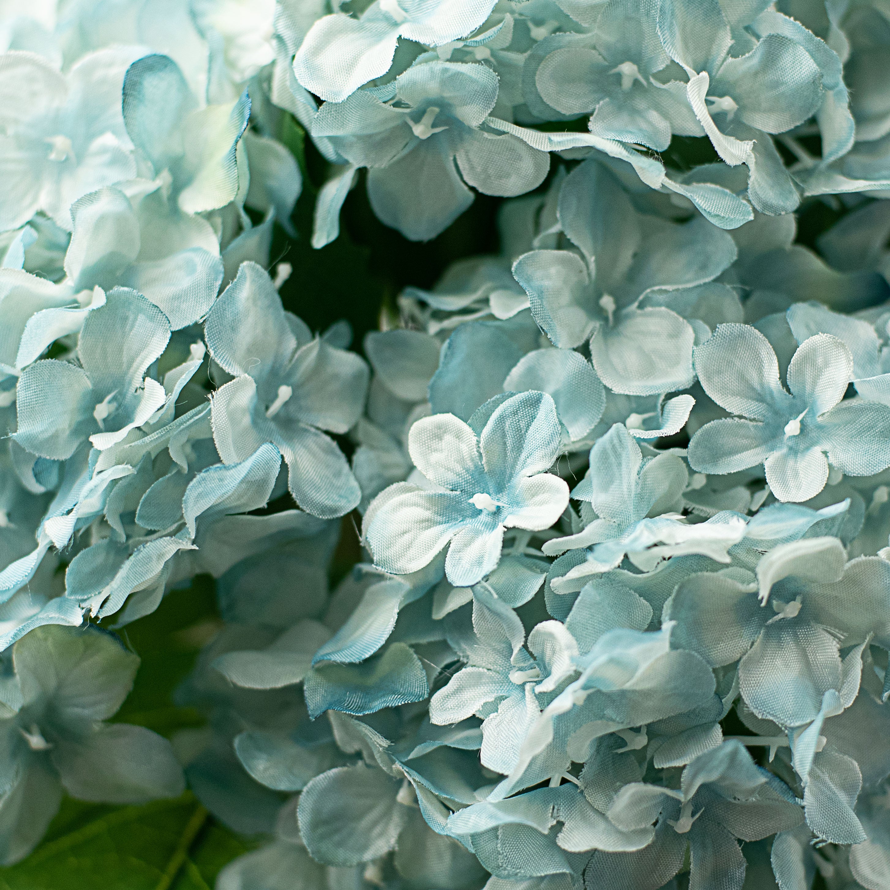 19" Hydrangea Bush: Light Blue (5) Lifestyle Photo