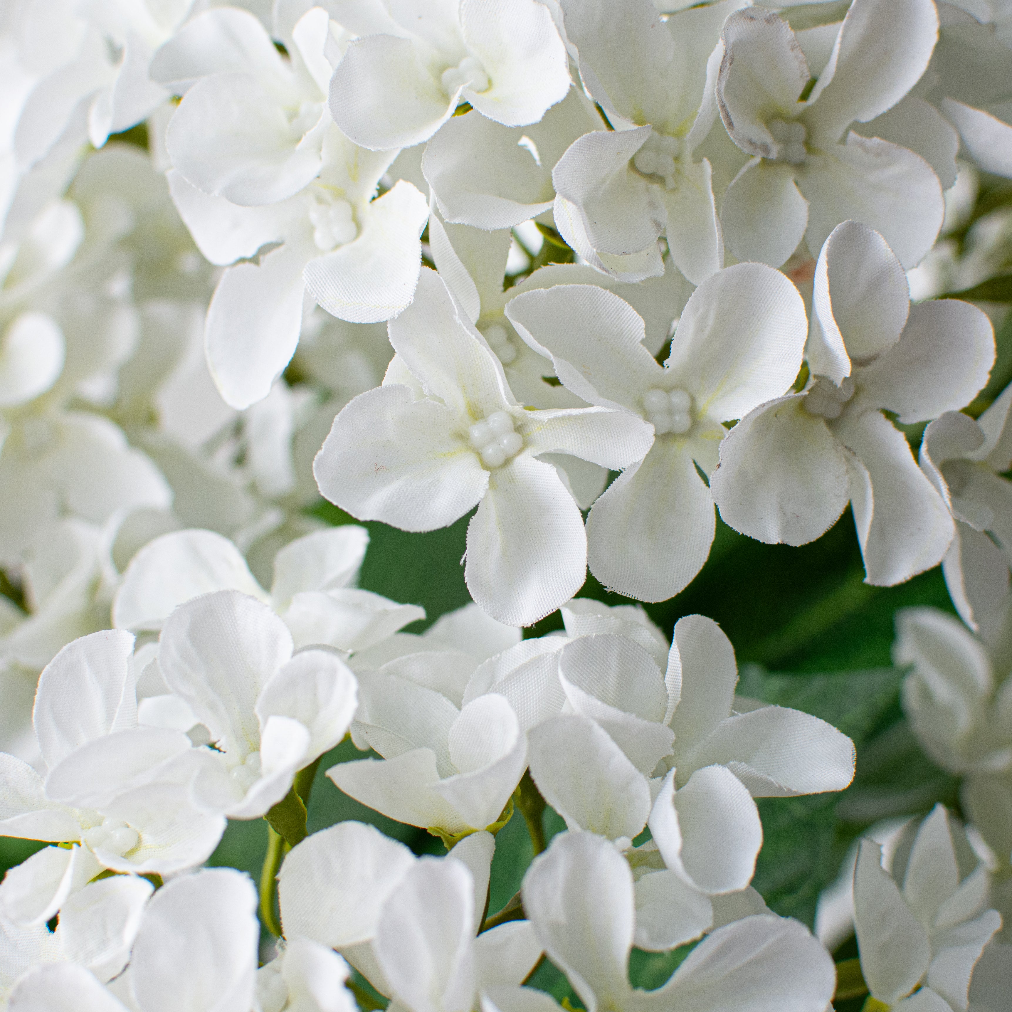 23" Hydrangea Bush: White Lifestyle Photo