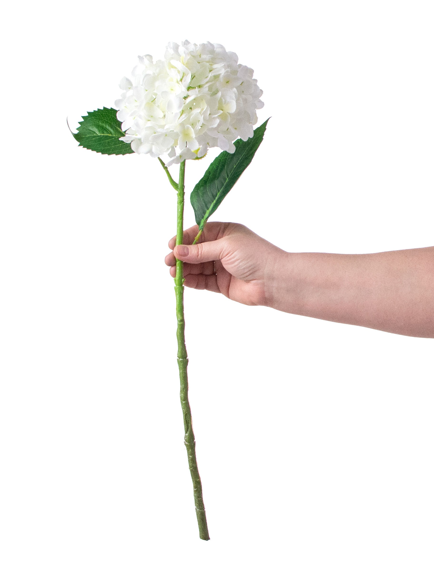 21" Hydrangea Stem: White detail photo 3