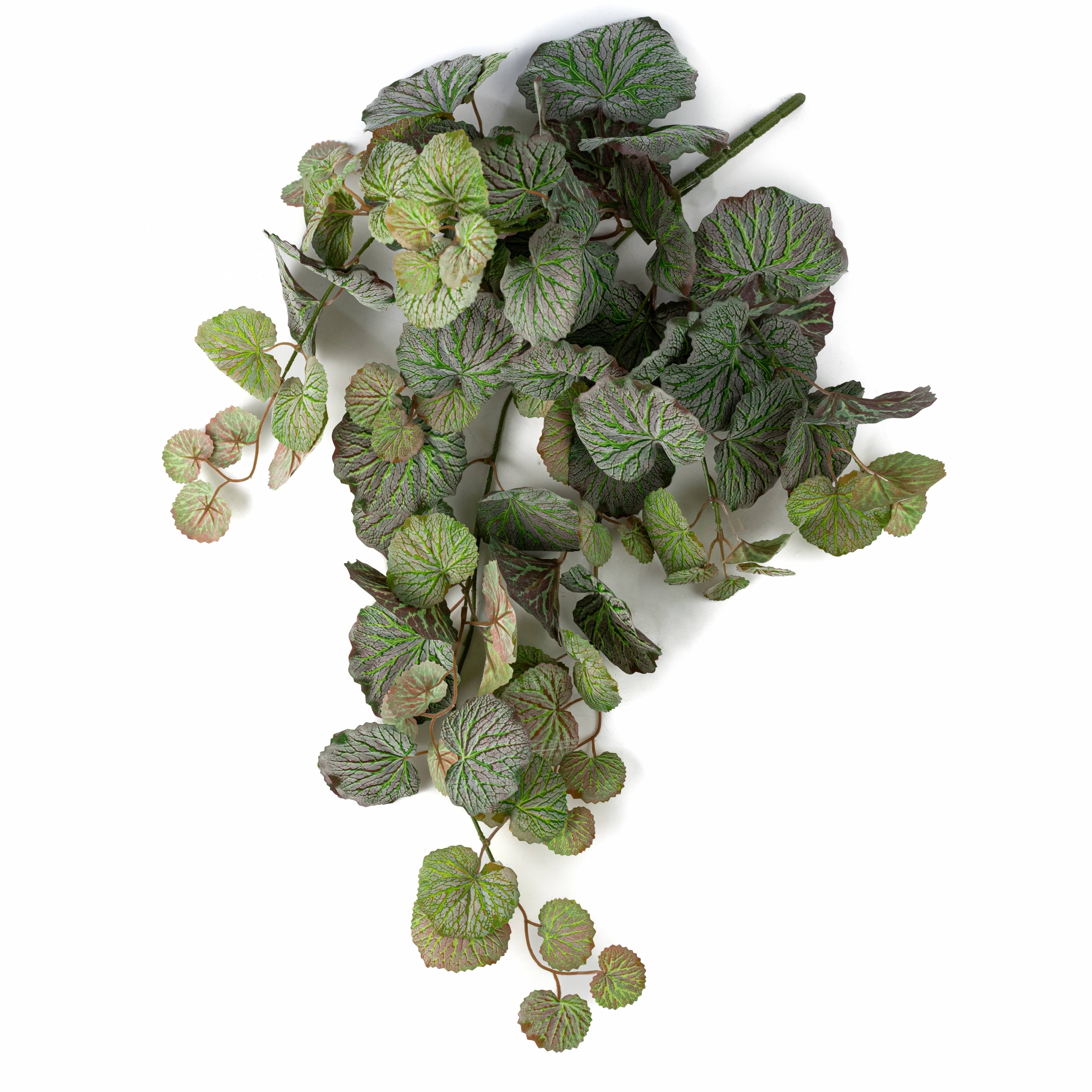 28" Dusted Artificial Begonia Hanging Bush: Variegated Green