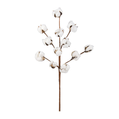20" ValueLine Cotton Boll Spray