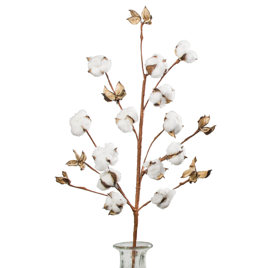 31" Cotton Boll Spray