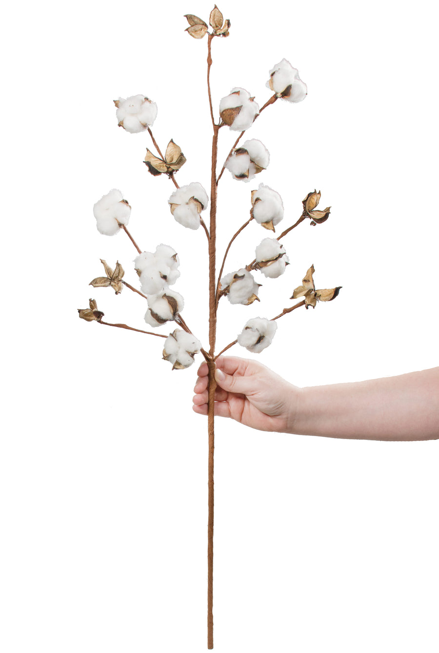 31" Cotton Boll Spray